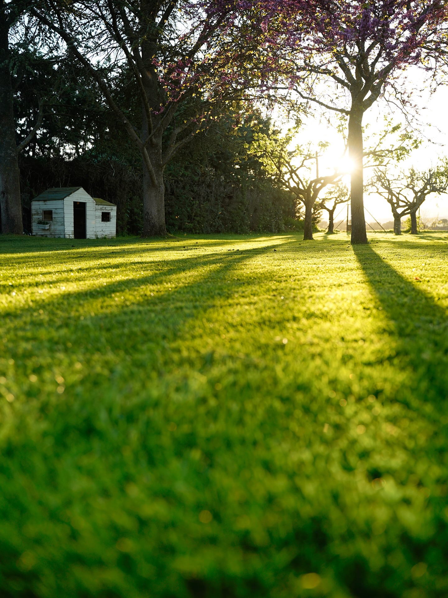 Golden hour ✨☀️🌿
#Muruzábal #navarra #spain #casarural #amigos #jardin