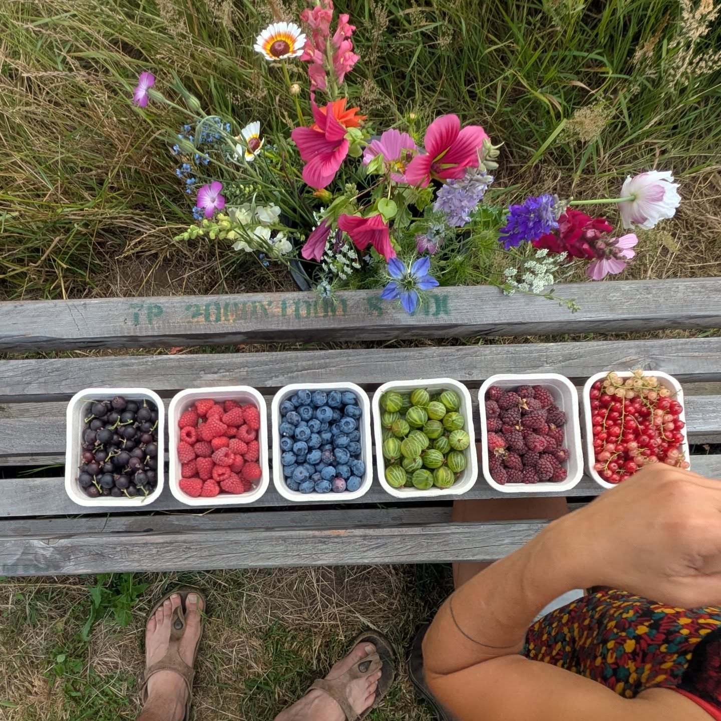 Open vandaag π€Έπ»
Zoveel schone bessen blinkend in de ochtend zon βοΈ
Wekom bij ons, tis hier goed.
Festival mood? π
We staan vandaag en morgen met onze fruitijsjes op @copacobanafestival.
En zondag op @visueelfestivalvisuel in Brussel. βοΈ