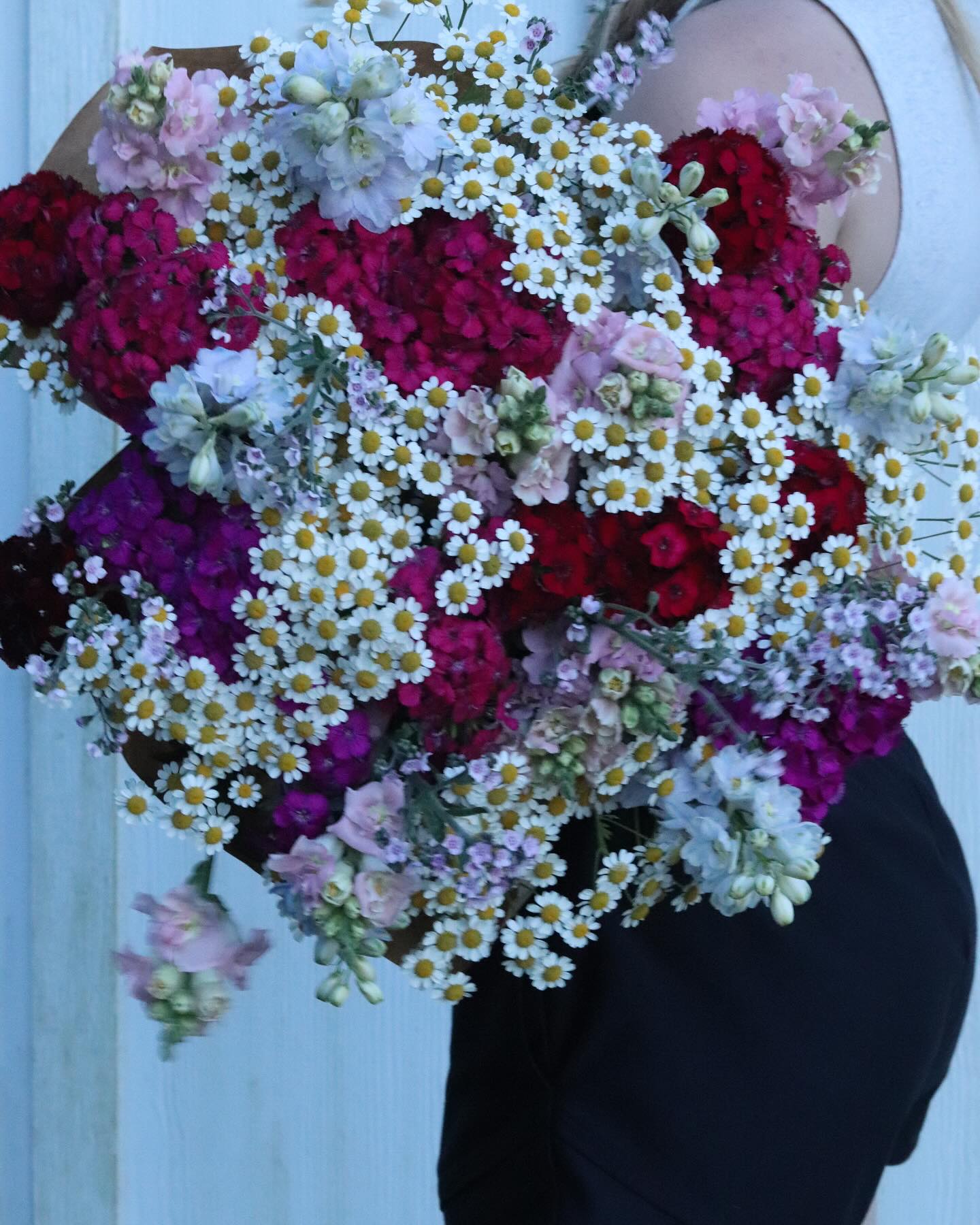 I see people do photo dumps, so here is mine from this last week. You even get a picture of the goats and me! Despite the heat, the flowers are still blooming, there are so many flowers this week! It’s a perfect summer week to pre-order and pick up for Friday. Head to the website, the link is in bio.