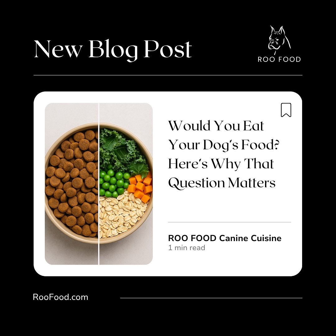 Would you eat your dog’s food?
If your answer is “definitely not,” you’re not alone. Most dog food today is made with stuff we wouldn’t touch—let alone serve our families.
At Roo Food, we believe real dogs deserve real food.
🌾 Oats, barley, rye
🥕 Carrots, peas, kale
💯 No fillers. No fluff. Just a foundation you trust—and protein you choose.
Because if you wouldn’t eat it, why should they?
#WouldYouEatYourDogsFood #RooFood #RealFoodForDogs #DogNutritionMatters #HealthyDogMeals