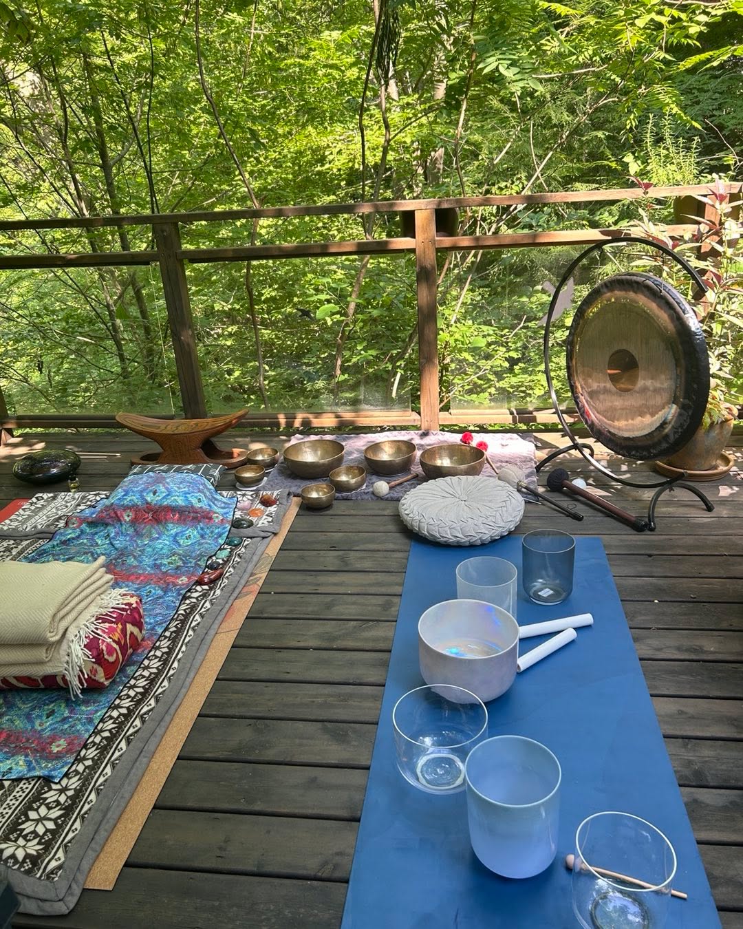 Saturday June 28th the sound studio is on retreat with Celeste at the Yoga House, 7 Copeland Avenue. Please DM me if you are interested in a retreat day with homemade delicious snacks, guided sound , restorative yoga and nature meditation in the ravine. 12-6. $180