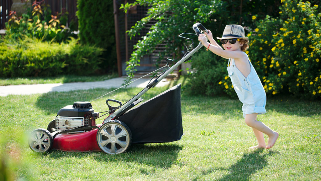 Let the kids play; we'll take care of the lawn for you!
https://www.rfr.bz/i0a0bd5
#lawncare #landscaping #cutthegrass #kids #family #terrehaute https://www.rfr.bz/idd0788