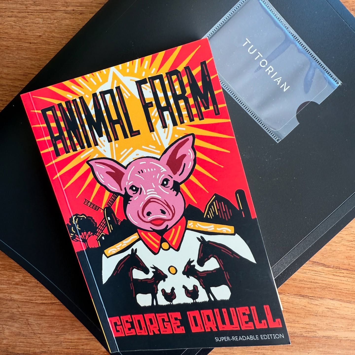 Animal Farm offers a powerful opportunity to help pupils explore themes of power, control, and social inequality. Through discussing allegory, propaganda, and historical context, students develop critical thinking skills and a deeper understanding of how literature reflects society. It’s always rewarding to see learners make connections between the text and real-world events, both past and present.
#AnimalFarm #TeachingLiterature #CriticalThinking #EnglishTutoring #GCSEEnglish #LiteratureLearning #Orwell #Allegory #EmpoweringLearners #EnglishEducation