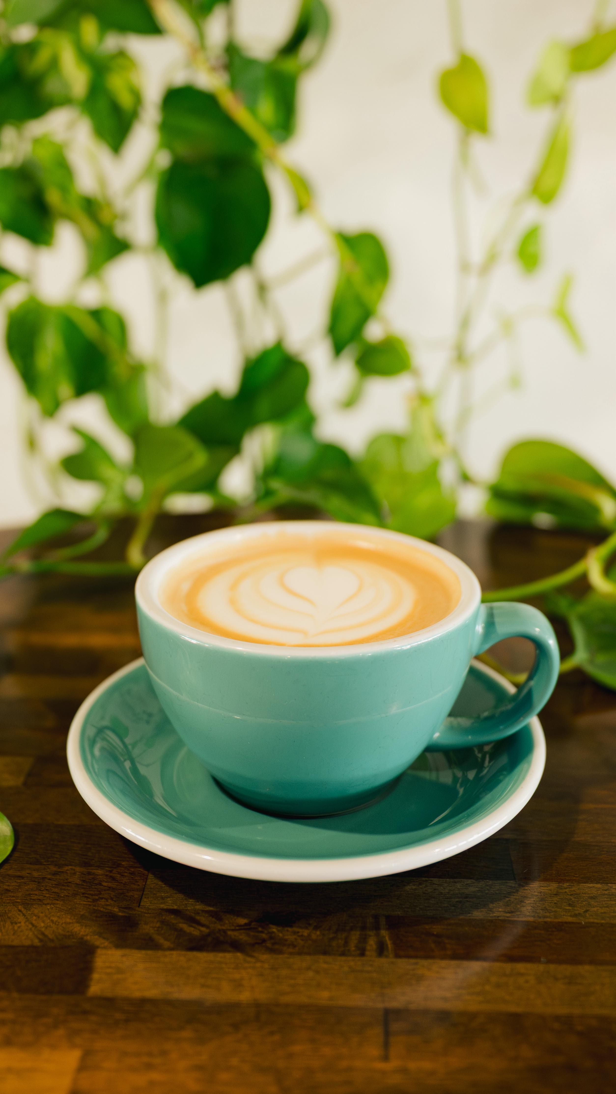 Happy Fall Yall ๐ Pumpkin Spice Latte is back!
.
.
.
.
.
.
.
.
.
.
#fall #latte #coffee #pumpkinspice #cafe #breakfast #coffeetime #coffeelover #coffeeholic #cafรฉ #longboat #longboatkey