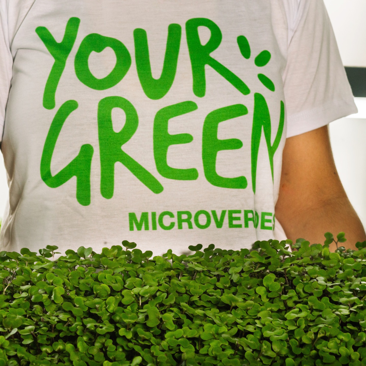 Localizada no bairro da Pajuçara, em Maceió, a urban farm da Yourgreen produz diversas variedades de microverdes para atender aos mais altos requisitos e padrões de qualidade do seu restaurante.
#brotos #microverdes #gastronomia #maceió
