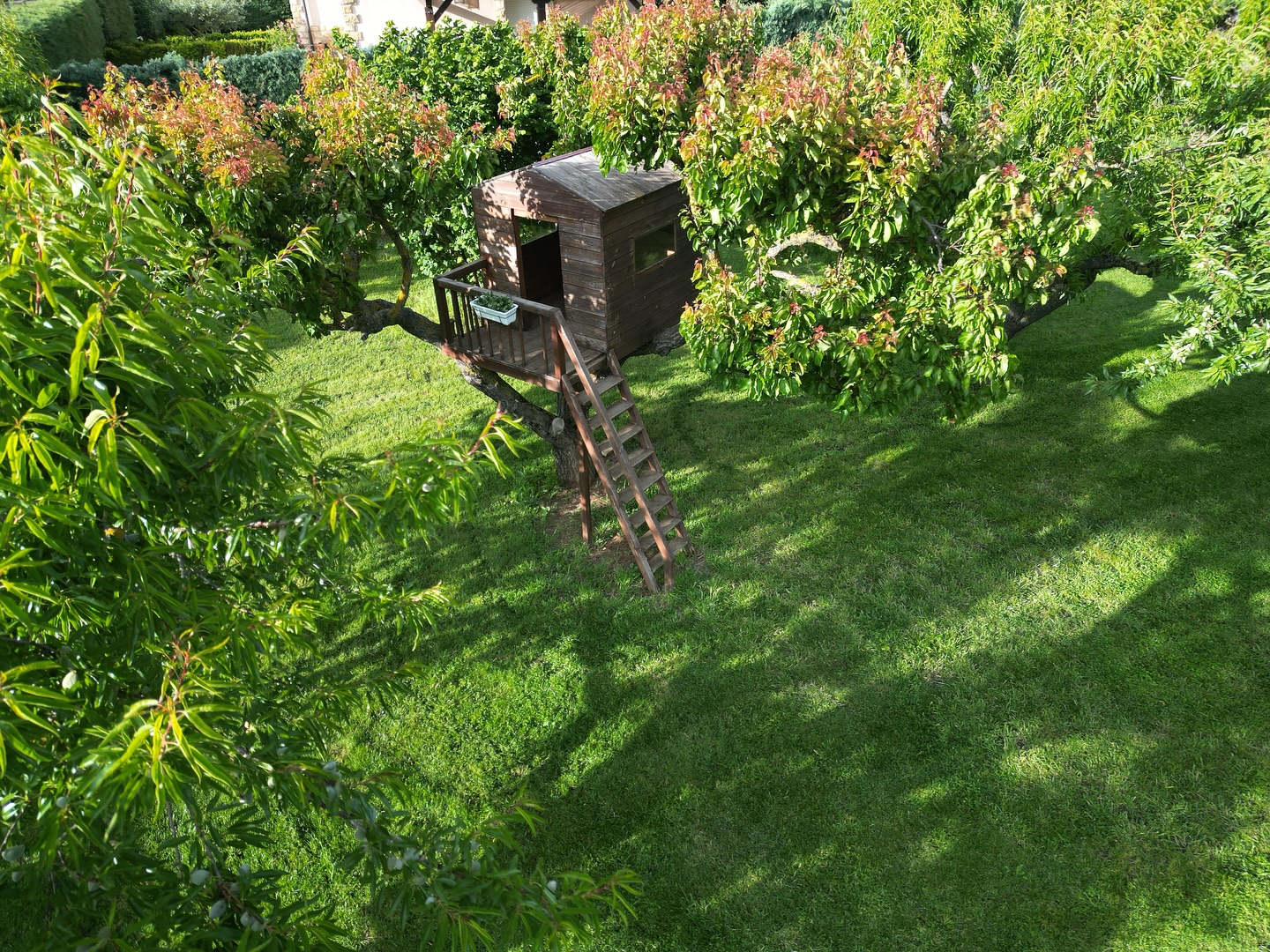 Casa árbol 🌳✨
#navarra #casarural #amigos #familia