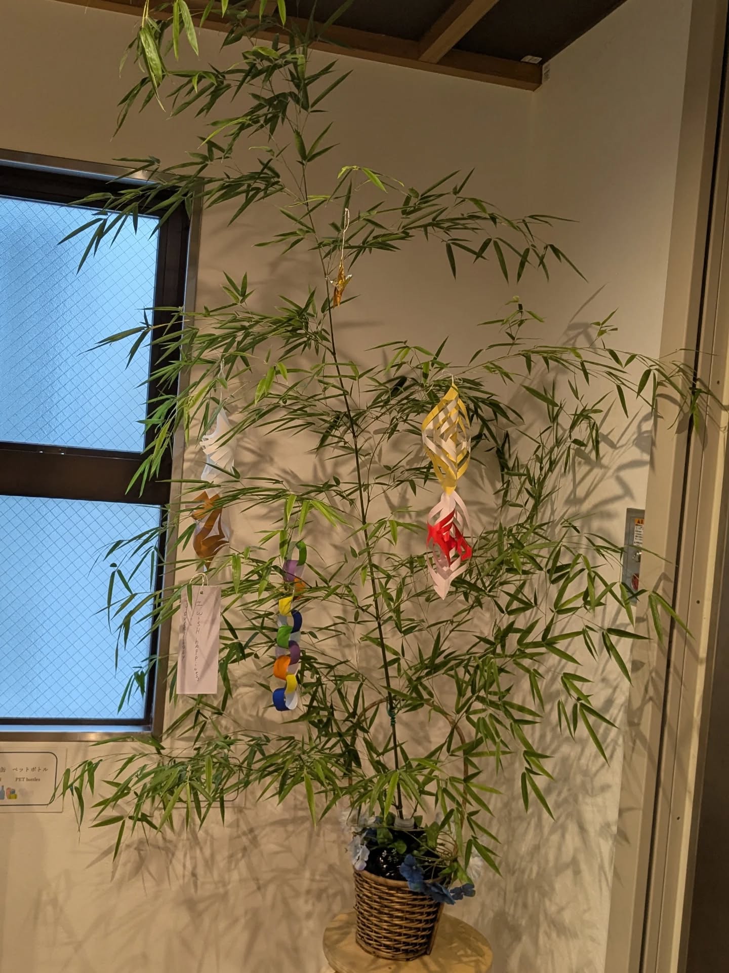 ✨The Tanabata festival✨
Tanabata , also known as the Star Festival (Hoshimatsuri), is a Japanese festival.
It celebrates the meeting of the deities Orihime and Hikoboshi (represented by the stars Vega and Altair (represented here on the 3rd picture)).
According to the legend, an angry god split Orihime and Hikoboshi apart from the Milky Way 🌌 and separates the lovers,
that are then allowed to meet only once a year on the seventh day of the seventh lunar month.
In present-day Japan, people generally celebrate this day by writing wishes, sometimes in the form of poetry on tanzaku,
small pieces of paper, and hanging them on bamboo 🎋
The bamboo are often set afloat on a river or burned after the festival, around midnight on the next day.
======================
Where elegance meets adventure, and every stay feels like home.
📩 contact
contact.hostel-osaka@meishin-group.co.jp
☎ 06-4301-5466
======================
#タナ #tanabata #民泊 #ホステル #ホステル暮らし #hostel #hostellife #travel #travelawesome #トラベル #大阪旅行 #japan #osaka #오사카온천 #osakajapan #大阪観光 #日本 #온천여행 #トラベルスタイル #トラベルグラマー #バックパッカー #backpacking #ınstatravel #explorepage #explore #ınstagood #amazing #南森町 #梅田