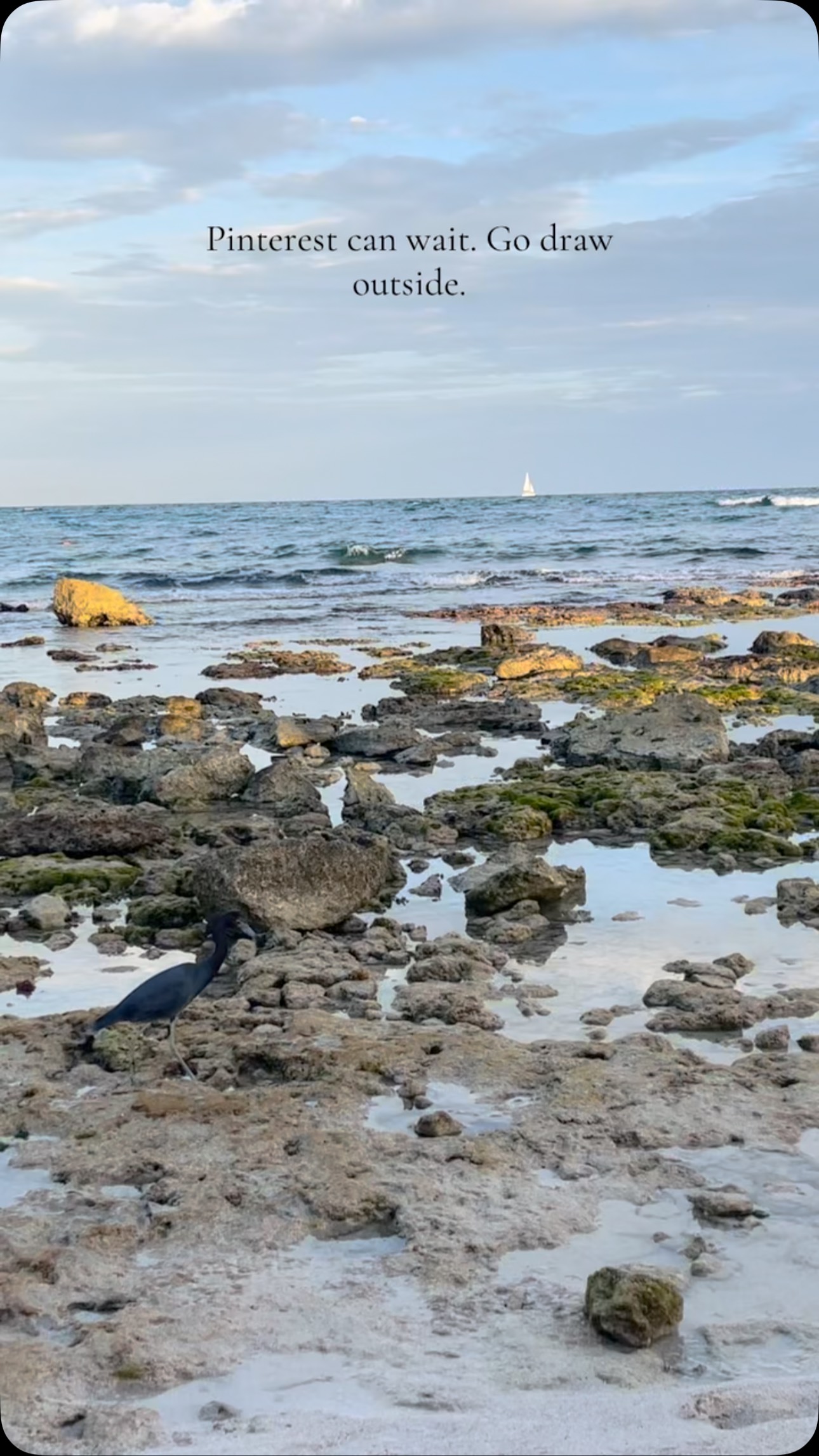 Artists:
Close Pinterest.
Step outside.
Take your sketchbook and see the world, not just scroll through it.
#artists #nature #TakeYourSketchbook #DrawFromLife #SketchOutside #ArtInRealLife #UnplugToCreate