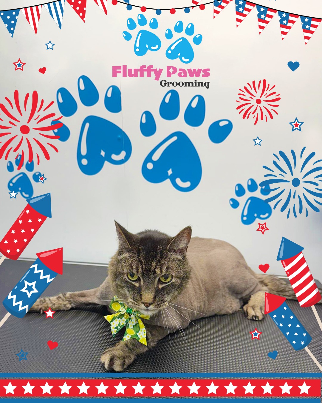 Paws, tails, and fireworks in the air โ itโs the 4th of July, and our furry friends are ready to celebrate in style! Decked out in red, white, and blue bandanas, they wag their tails with joy, enjoying tasty treats and playful fun. 
HAPPY 4TH OF JULY!
#818valley #lovedogs #sanfernandovalleydogs #doggrooming #fluffypawsgrooming #sanfernandovalley #cutedogs #grooming #womeninbusiness #818 #volunteer #mobiledoggrooming #mobiledoggroomer