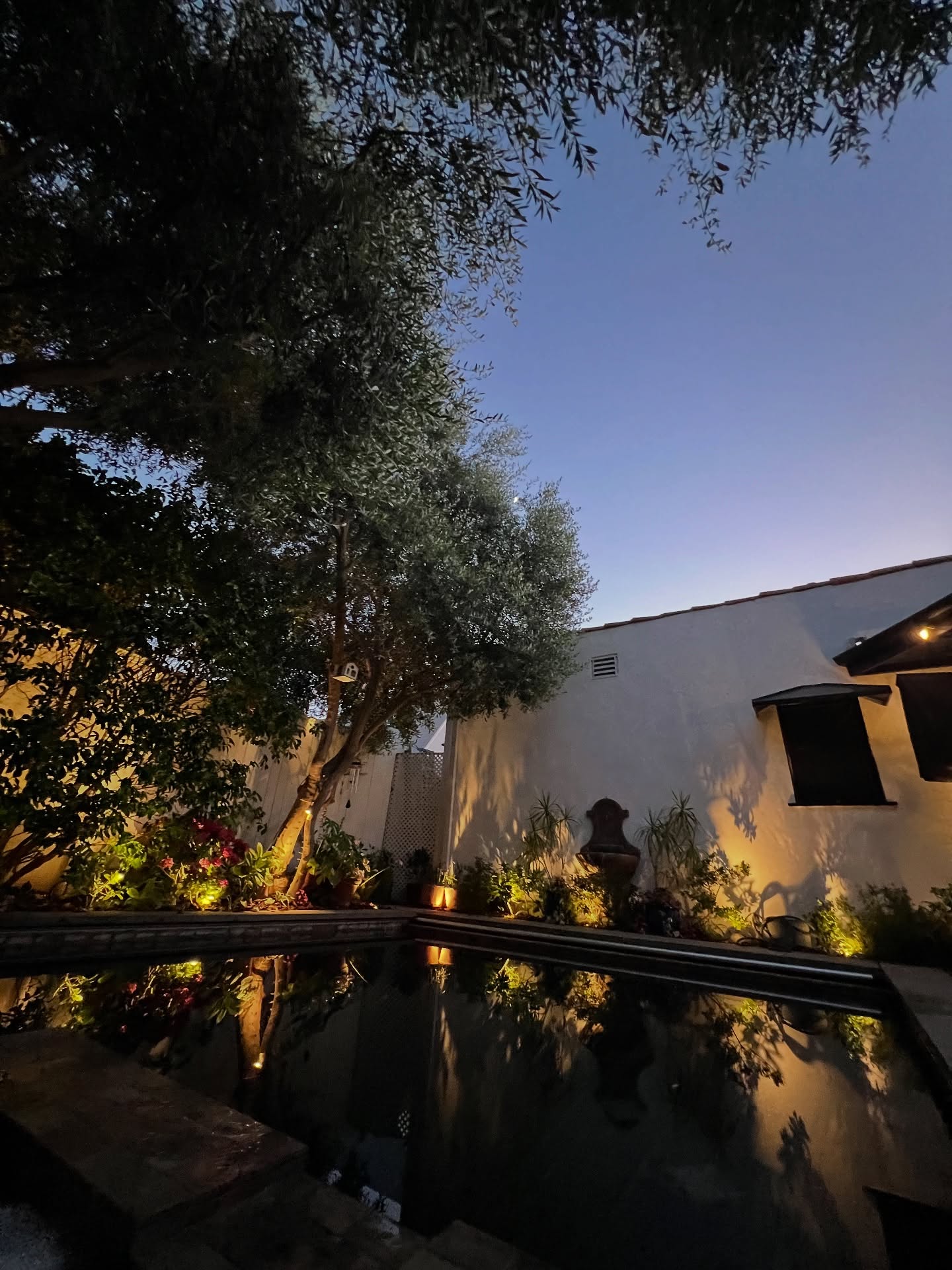 The reflection of the hot pink hydrangeas off the water is my favorite part. Can you spot the birdhouse by @ss.workss? #landscapelighting #camilia #olivetree #fountain #pool #design #garden #jasmine #pottedplants #landscape #beverlyhills #birdhouse #warmwhitelight #twilight #virgodesignsandlandscaping