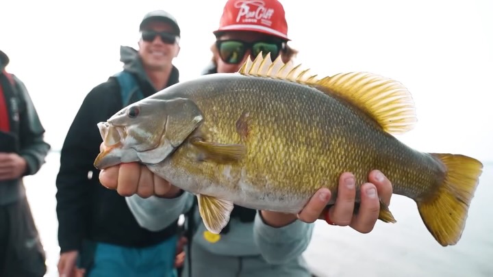 Want to squeeze in one more trip before the season ends?
Weโve got a few prime openings left for late summer/early fall 2025:
๐ July 26 โ Aug 2 (1 Cabin left!)
๐ Aug 23 โ 30 (1 Cabin left!)
๐ Aug 30 โ Sept 6 (1 Cabin left!)
๐ Sept 6 โ 13 (1 Cabin left!)
๐ Sept 13 โ 20 (1 Cabin left!)
๐ Sept 20 โ 28 (1 Cabin left!)
๐ฒ Already been here this year? Book a second trip in September and get 15% off.
๐ฉ DM or email fishing@pineclifflodge.com to grab your spot before theyโre gone!