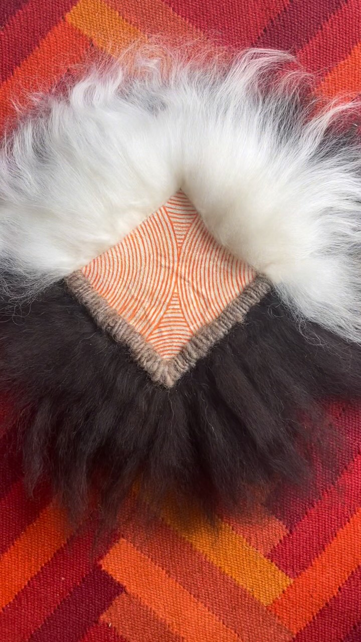 I wanted to try a new finishing technique I had seen in a skinnfeller book, so I brought out this unfinished piece from a couple years ago. I had set it aside after breaking a couple needles on this tough hide which was cut from the neck. But with fresh needles in hand, I was able to clean it up quickly (did you see how VM was still in the fiber 😅🙃). More brushing to go before she’s wrapped up for a new home.
#animism #animistart #skinnfeller #sheepskin #queerartist #scandihomedecor