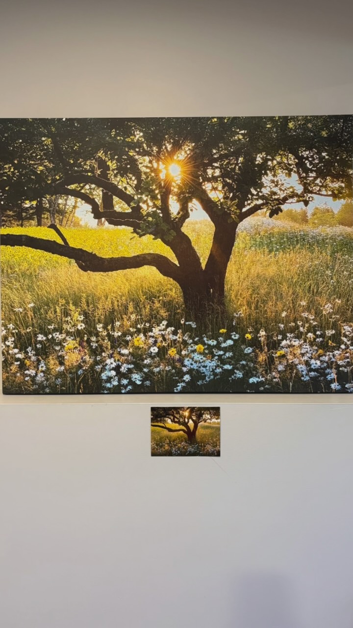A cherished card turned into a beautiful canvas piece of art! ☀️🌱🪻🌻💫🤩
>1.5” depth
>continuous photo edge
>matte finish
>size 36x28
#natsprintingco #okotokssmallbusiness #canvasprints #okotoksmamas #canonimageprograf #stretchedcanvas #specialmemories #canonimageprografpro #canvasart