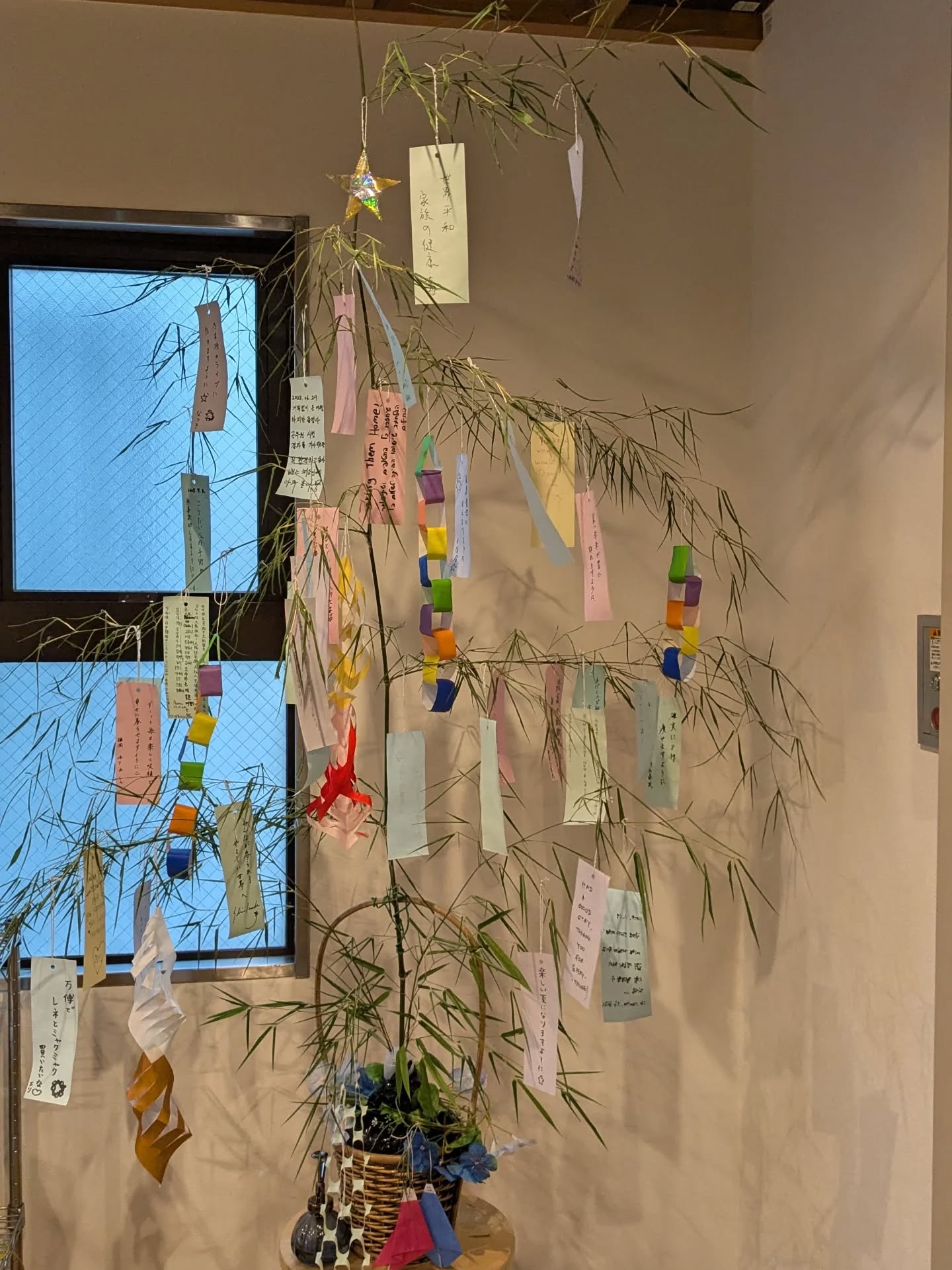 🌟もうすぐ七夕祭り!
6階の笹には、世界中のゲストが書いてくれた色とりどりの短冊がたくさん飾られています。
七夕当日まで、まだまだ皆さんの願いごとをお待ちしています🎋🌌
🌟 Tanabata Festival is just around the corner!
On our 6th floor, you will find our bamboo tree already filled with colorful wish strips from guests around the world.
We are still waiting for many more wishes to join them, come write yours before the festival day! 🌌🎋
======================
Where elegance meets adventure, and every stay feels like home.
📩 contact
contact.hostel-osaka@meishin-group.co.jp
☎ 06-4301-5466
======================
#タナ #tanabata #民泊 #ホステル #ホステル暮らし #hostel #hostellife #travel #travelawesome #トラベル #大阪旅行 #japan #osaka #오사카온천 #osakajapan #大阪観光 #日本 #온천여행 #トラベルスタイル #トラベルグラマー #バックパッカー #backpacking #ınstatravel #explorepage #explore #ınstagood #amazing #南森町 #梅田