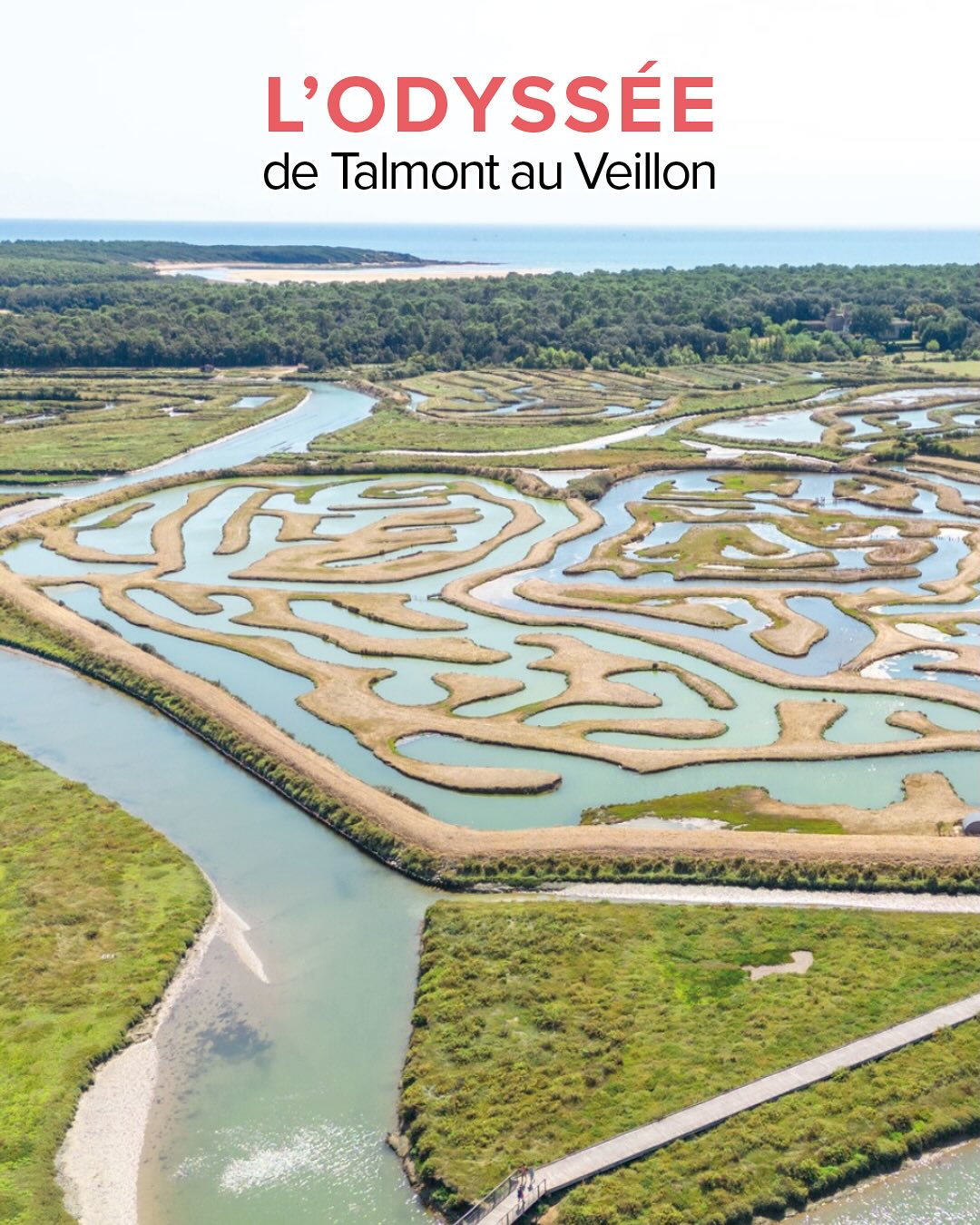 🛶 Embarquez pour une aventure inoubliable cet été!
Descendez en kayak la rivière du Payré, en partant au pied du château de Talmont jusqu’à la magnifique plage du Veillon. Une sortie guidée par un moniteur, d’une durée de 3 heures, pour explorer des paysages authentiques et inexplorés.
👉 Réservation : https://www.paddleaventure.fr/randonnees-kayak-vendee
A bientôt sur l’eau ! 🤙🏽
#kayak #marais #talmontsainthilaire #vendee #paysdelaloire #jardsurmer #photography #colorfull #water #talmontsainthilaire #veillon #vendee #vendeetourism #kayaking #nature #drone #sportoutdoor #aventure #lessablesdolonne @destinationvendeegrandlittoral @talmontsainthilaire