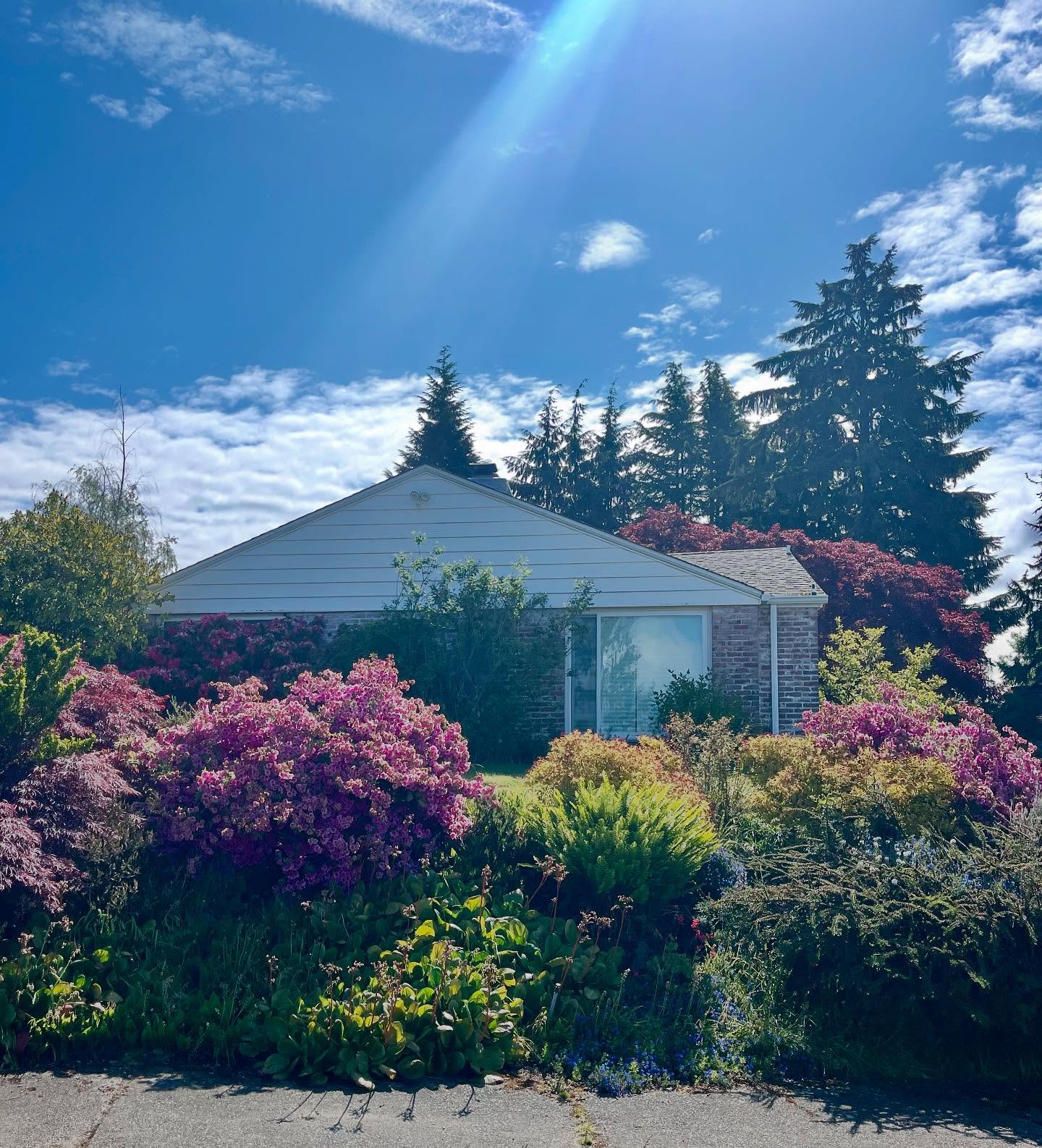 From a small West Seattle cottage to a full second-story addition in just three weeks — including demo, framing, and sheathing.
⠀
Excited to see finishes coming next!
#SeattleContractor #LocalBuilder #PNWConstruction #SeattleHomes
#ResidentialRemodel #QualityCraftsmanship
#SecondStoryAddition
