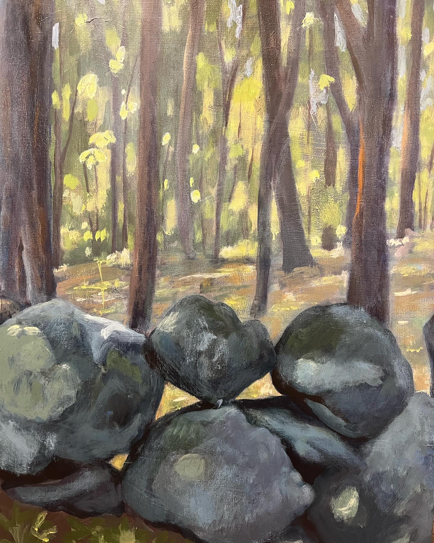 I was just in Massachusetts. I love these old stone walls there.  No mortar, so the light shines through in interesting shapes.