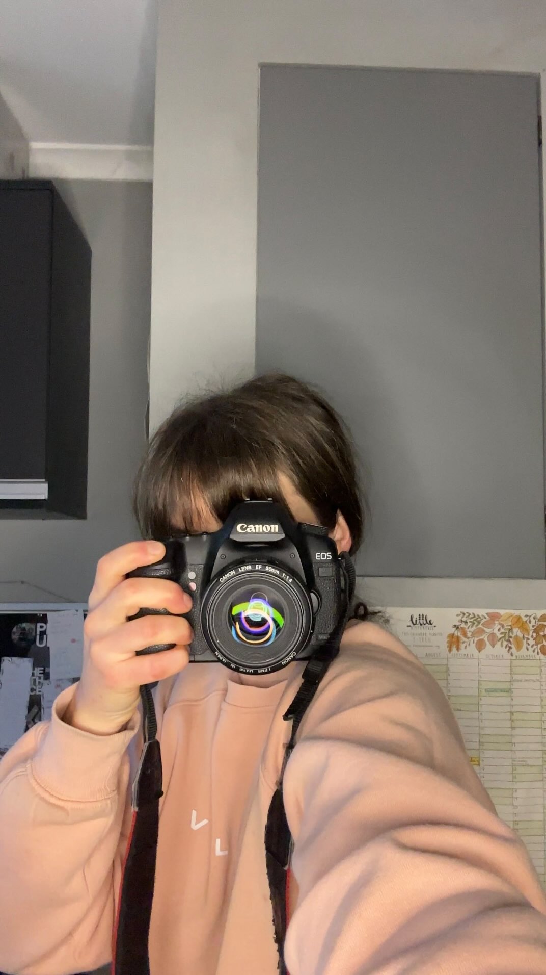 P.O.V
#nzsmallbusiness #dogsnz #ecofriendly