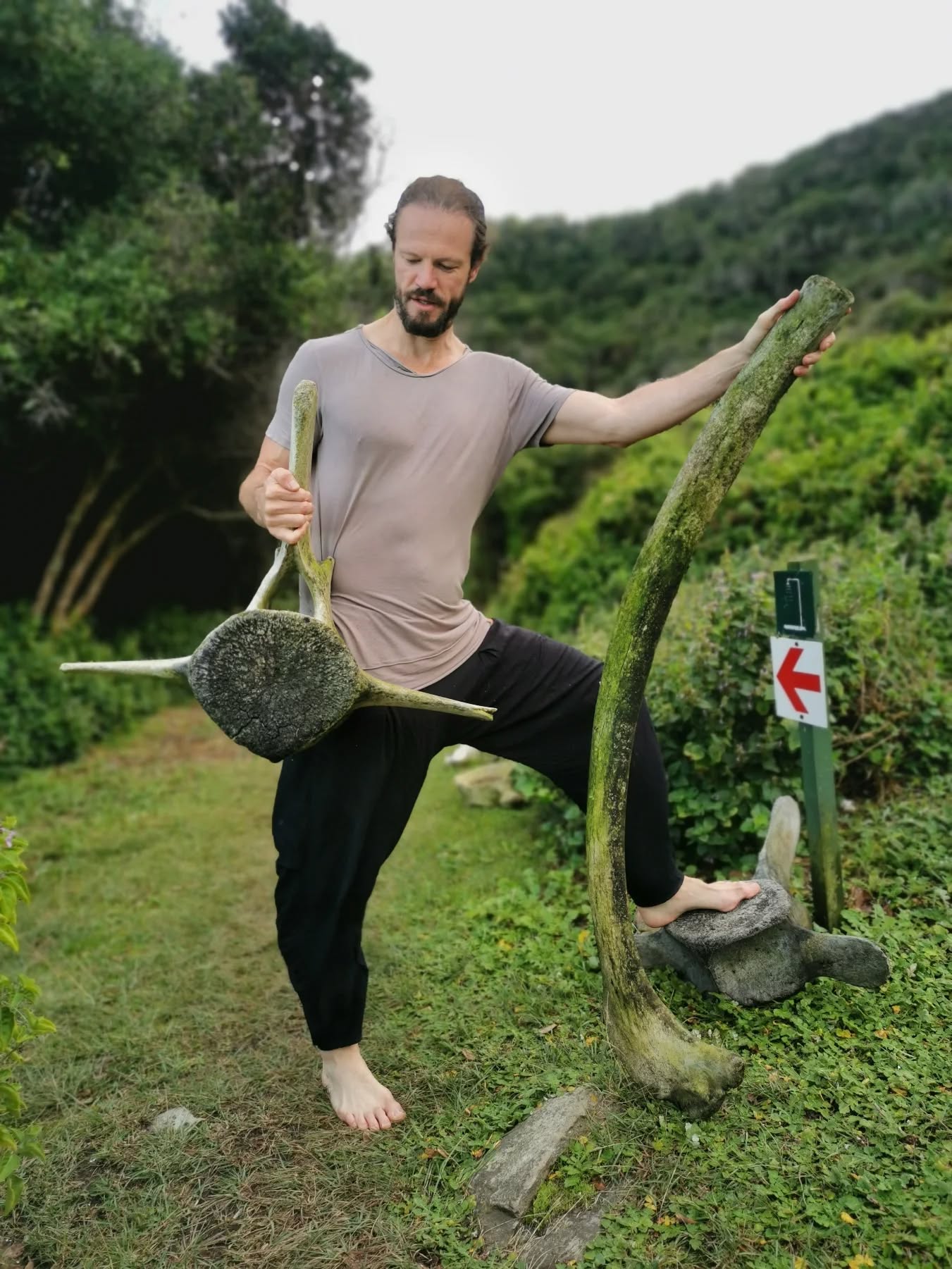 This is a whale vertebra and rib 🤩🐳☠️ very cool!!
#posture #posturecorrection #personaltrainer #fitness #wellness #health #strong #fit #healthylifestyle #bodytransformation #mindbodysoul