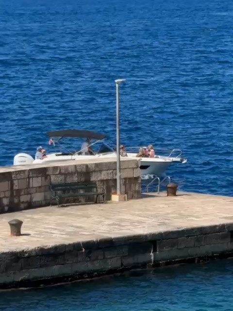 One of the best excursions for our guests from Villa Soline! 🫒🇭🇷♥️
Brunch in the most beautiful olive grove in the Arboretum!