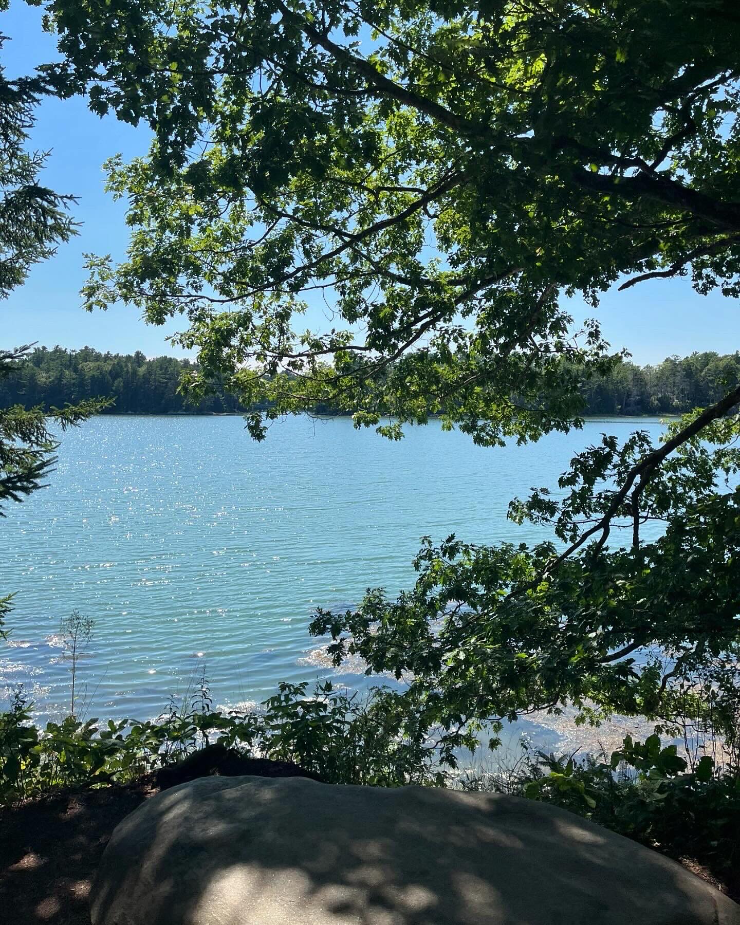 Weekend incoming!! Whatever your plans are this weekend, make sure they include cleaning up after yourself (or others!). Leave the places you go better than you found them.๐ง๐ฑ #leavenotrace #UNLITTER
#UNLITTERyourmind #UNLITTERyourpath #jointhemovement
-
๐ธ: Brooke Cooney