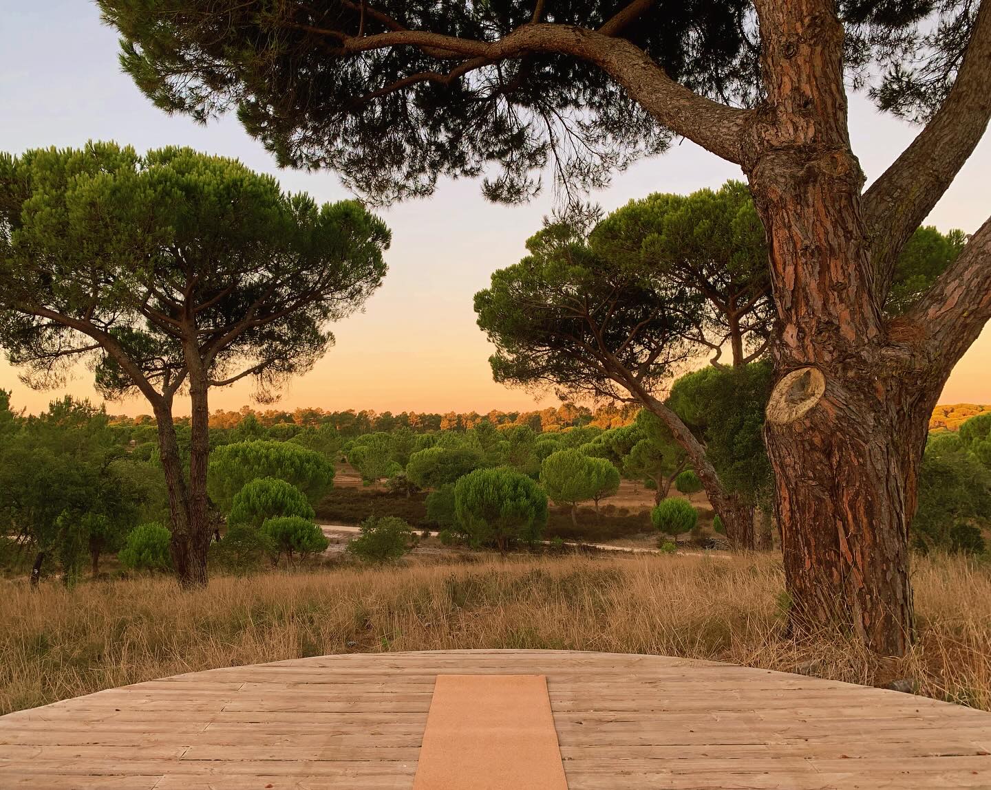 In Portugal getting ready for the ✨ Comporta Workshop which is just 5 days away! 💛