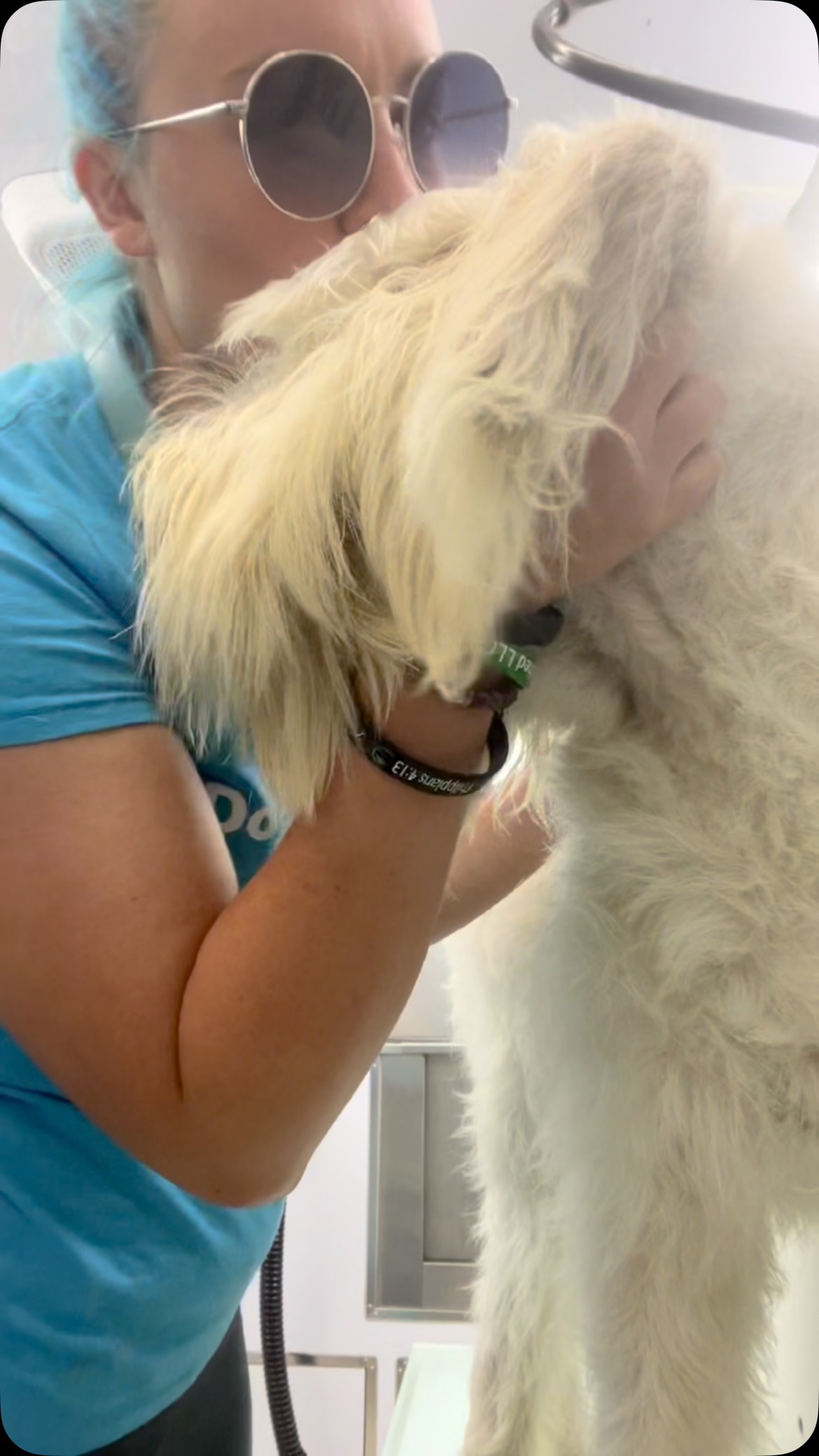 Save your back and use the Groomer’s wall! #iykyk #dawnofdeshed #mobilegrooming #allforgroomers #groomerswall #backpain #briken #saveyourself #spinone #epic #ruthlessness #poseidon #fun #blue #summer #ocean