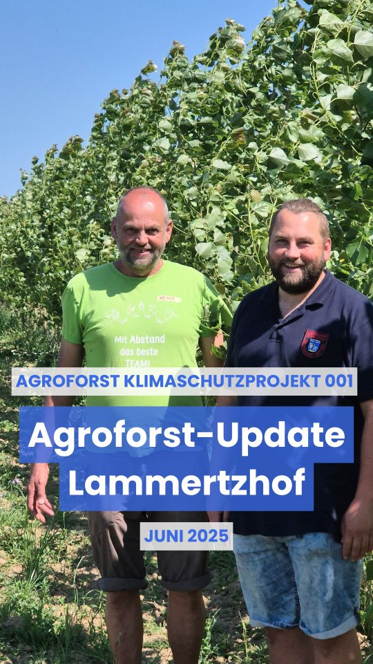 🎂 🌳 1 Jahr Agroforst mit 5.000 Bäumen auf dem @lammertzhof !
Im April 2024 haben wir unser erstes Klimaschutzprojekt mit Agroforst realisiert. Nach rund einem Jahr ziehen Timo und Heiner Hannen vom Bioland-Lammertzhof in Kaarst/NRW eine positive Bilanz ihres Agroforstsystems. Die Pappeln haben sich toll entwickelt und erreichen bereits eine Höhe von rund vier Metern.
🌳 5.000 schnellwachsende Pappeln
🌳 15,3 Hektar Agroforstsystem
🌳 ca. 43 Tonnen CO₂Bindung pro Jahr
🌳 ca. 900 Tonnen CO₂ Bindung über die gesamte Projektlaufzeit
➡️ Heiner Hannen berichtet von einer Steigerung der Insektenvielfalt auf den Feldern. Zudem sammelt sich Niederwild an den Pappeln - die Bäume bieten Tieren wie Rebhühnern und Wachteln neue Lebensräume.
➡️ Bereits nach einem Jahr zeigen sich erste positive Auswirkungen auf das Mikroklima: spürbare Windreduktion und ein angenehmeres Klima auf den Feldern, besonders an heißen Tagen.
🤝 Initiiert durch das Orchester des Wandels und finanziert durch die Tonhalle Düsseldorf konnten wir in diesem Gemeinschaftsprojekt Klimaschutz durch Agroforst auf dem Bioland Betrieb ermöglichen. Das Projekt soll die im Konzertbetrieb der Tonhalle Düsseldorf entstehenden Emissionen binden und zukünftig auch als Open-Air-Konzertwald für neue Formate der Sinfoniker genutzt werden. Für ihre Konzertreihe ‘Green Monday’ hat die Tonhalle Düsseldorf im letzten Jahr den Nachhaltigkeitspreis des Opus Klassik erhalten.
💸 Finanziert werden die Klimaschutzprojekte von VIVO Carbom durch Spenden oder den Erwerb von Klimaschutzleistungen - jeder Betrag hilft, die Agroforstsysteme zu realisieren und somit schnell und langfristig #CO₂ zu binden.
🙌 Gemeinsam pflanzen wir Bäume! Mehr Infos über die Projekte und die Unterstützungsmöglichkeiten 👉 Link in Bio
@dierheinischenbauern
@stadt_kaarst @oekokiste.de
#agroforst #agroforstsysteme #co2 #klimaschutz #umweltschutz #biodiversität #klimawandel #naturschutz #vivocarbon #regenerativelandwirtschaft #agroforestry #agroforestrysystems #biodiversity #carbonremoval