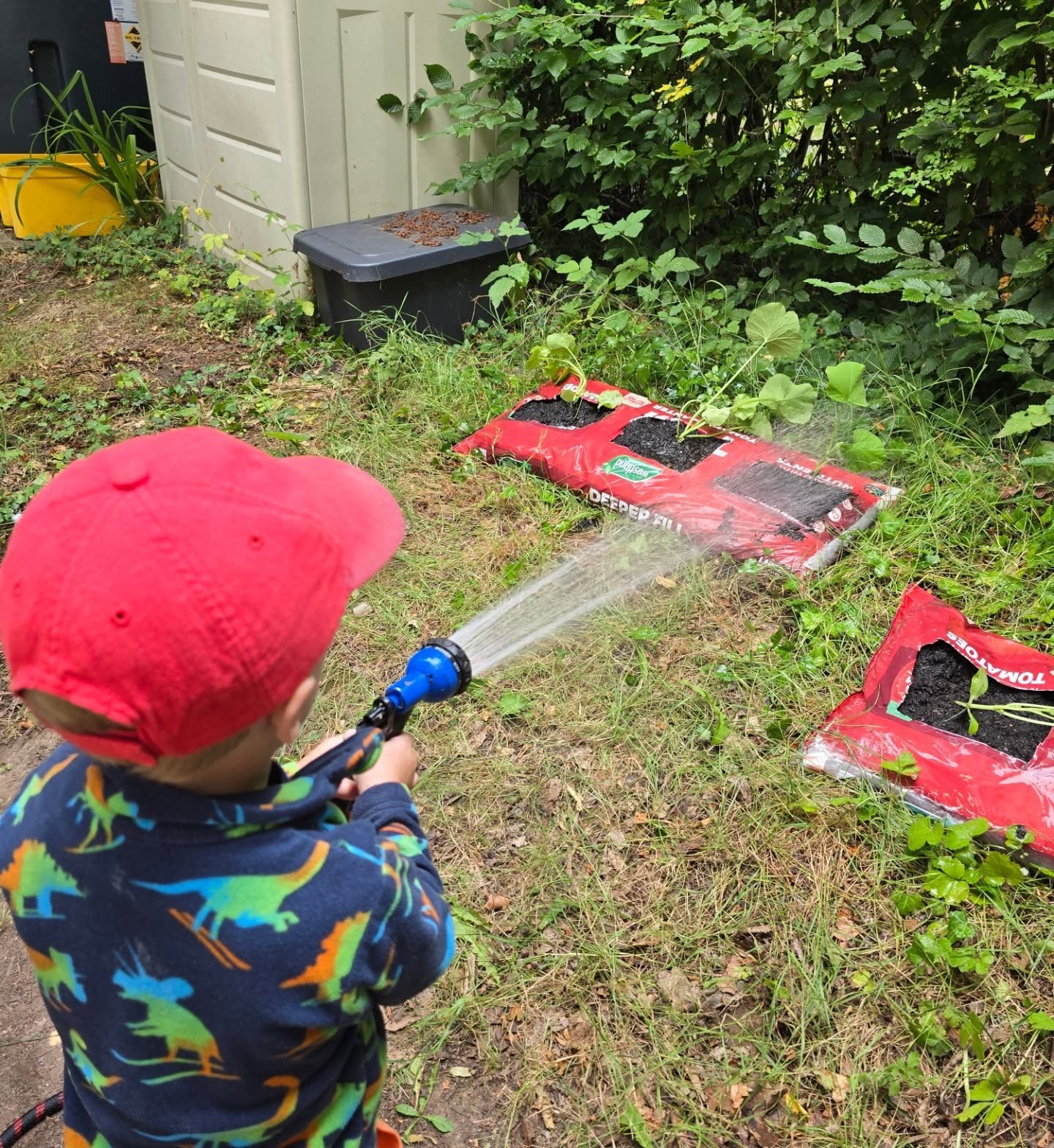 Today the children planted mini pumpkins that were kindly gifted preschool π
#preschool #earlyyears #childcare #growing #gardening #outdoorlearning