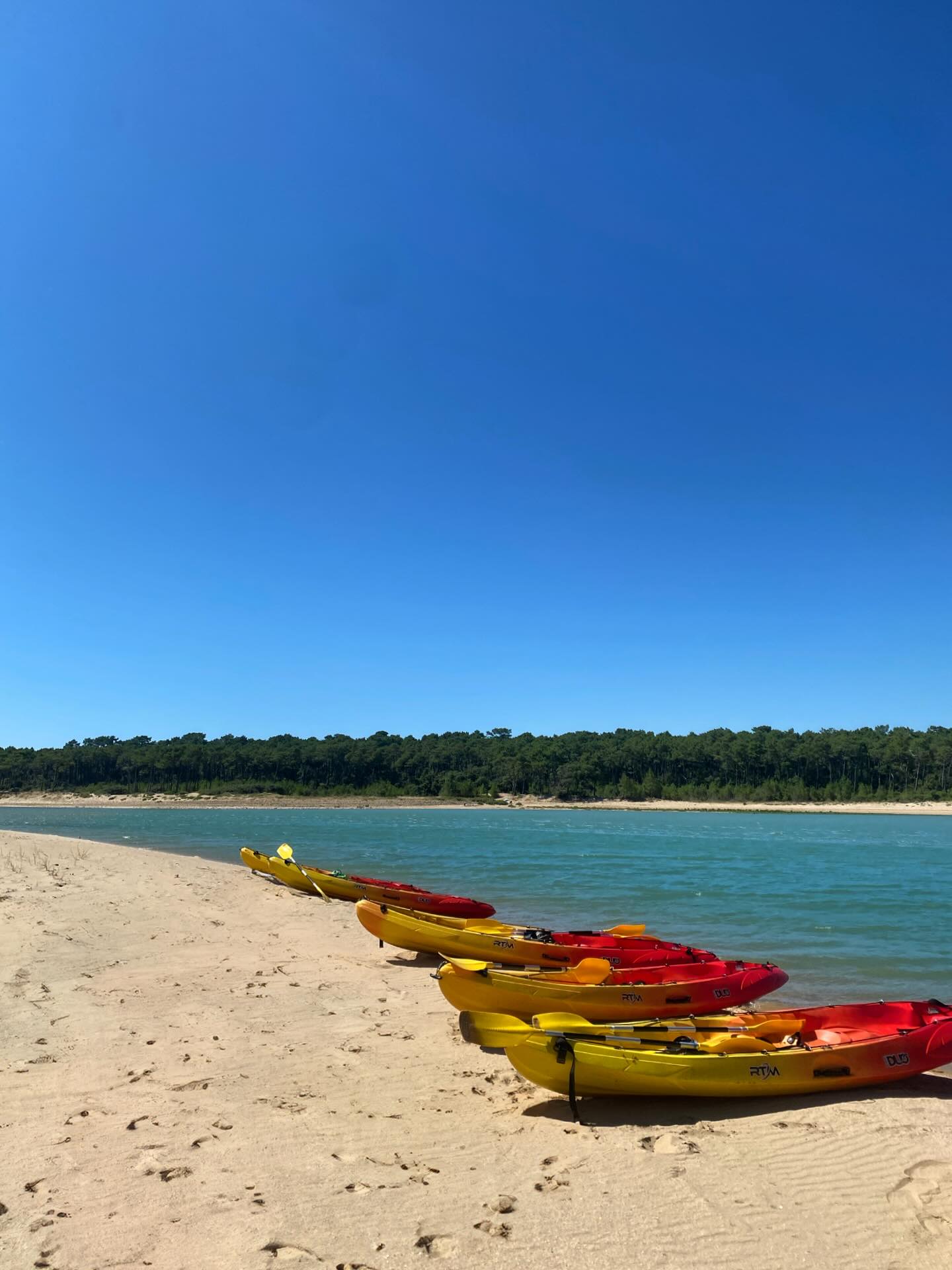 🌊🚣♂️ Nouvelle option cette année ! 🚣♀️🌊
Désormais, vous pouvez réserver vos kayaks et paddles directement en ligne sur notre site web ! Réservez à l’avance et sélectionnez l’horaire qui vous convient le mieux.
Rappel : nos locations suivent les horaires des marées pour vous garantir une expérience optimale. Choisissez le moment parfait pour pagayer et découvrez les merveilles de l’Estuaire en toute tranquillité.
👉 Rendez-vous sur notre site pour planifier votre aventure : www.paddleaventure.fr
#kayak #estuary #talmontsainthilaire #vendee #paysdelaloire #jardsurmer #photography #colorfull #water #talmontsainthilaire #veillon #vendee #vendeetourism #kayaking #nature #sportoutdoor #aventure #lessablesdolonne @destinationvendeegrandlittoral @talmontsainthilaire