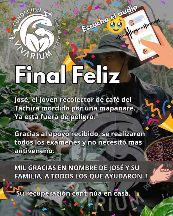 🎉 FINAL FELIZ | José está fuera de peligro 🙌
Gracias al apoyo de muchas personas, José, el joven tachirense, trabajador del café mordido por una mapanare en el hombro, recibió atención médica oportuna, se le realizaron todos los exámenes necesarios y no necesitó aplicación de más antiveneno.
✅ Los resultados fueron favorables.
❤️ La mordedura fue atendida a tiempo.
🙌 Va vía a su casa, a terminar de recuperarse.
Desde la Fundación Vivarium queremos agradecer profundamente a cada persona que donó, compartió o estuvo pendiente. Su ayuda fue vital.
La solidaridad también salva vidas.
Tu ayuda aún puede marcar la diferencia, para casos como los de José. DONA AHORA y salva una vida:
📲 Pago Móvil Bancamiga: J-502156399 / 0424-4085311 #fundacionvivarium #ayudahumanitaria #snakeenvenoming