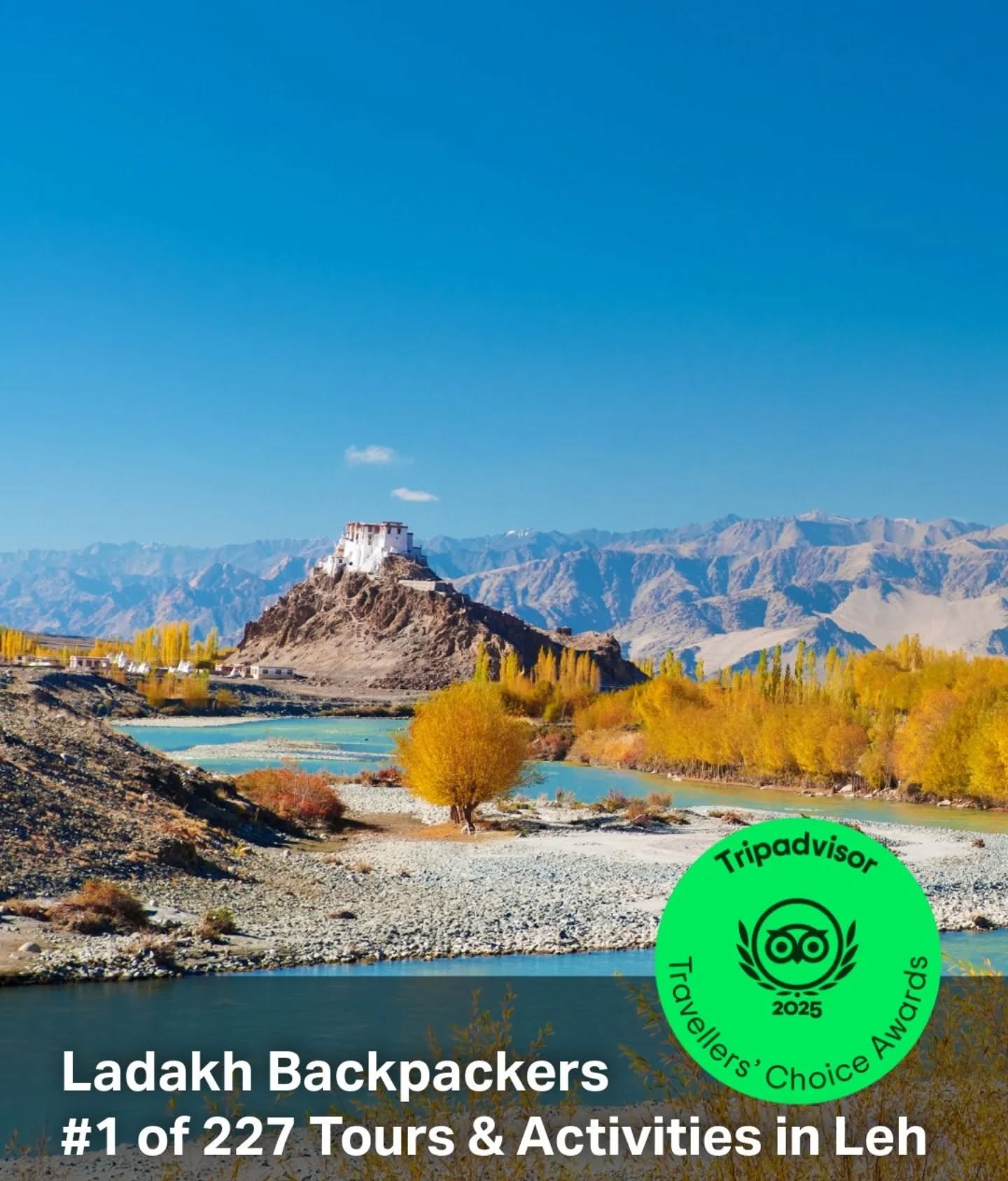 🏆 We’ve done it again!
Ladakh Backpackers is proud to receive the Tripadvisor Travelers’ Choice Award 2025 and retain our spot as the #1 Tour Operator in Ladakh for the 5th year in a row!
Huge thanks to our amazing guests for your trust & reviews, and to our dedicated team for making every journey unforgettable.
This award puts us in the top 10% of travel companies worldwide — and it’s all because of you.
Here’s to more authentic adventures in Ladakh!
#TravelersChoice2025 #LadakhBackpackers #NumberOneInLadakh #TopRatedTourOperator #ThankYouTravelers #ExploreLadakh #AuthenticJourneys