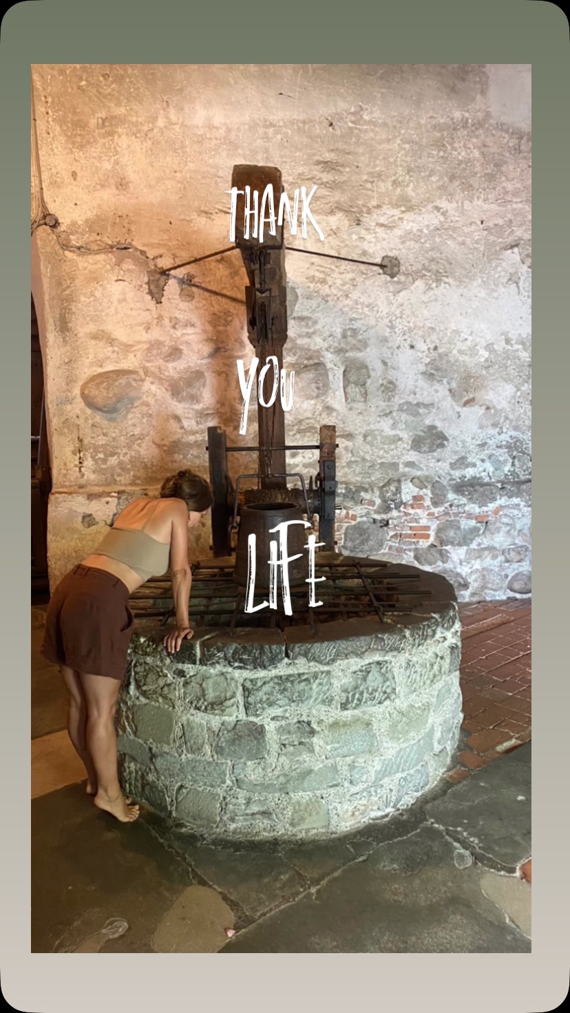 This is an ode to life and all magical moments that have invited us in to take part of them - and we have met them in their highest potential and there is where magic lives. In every moment. Bless✨
-
#life #mallorca #austria #spain #schladming #germany #sweden #omberg #palestine #camping #fire #conversation #strangertofamily #campervan #ocean #ontheroad #flowers