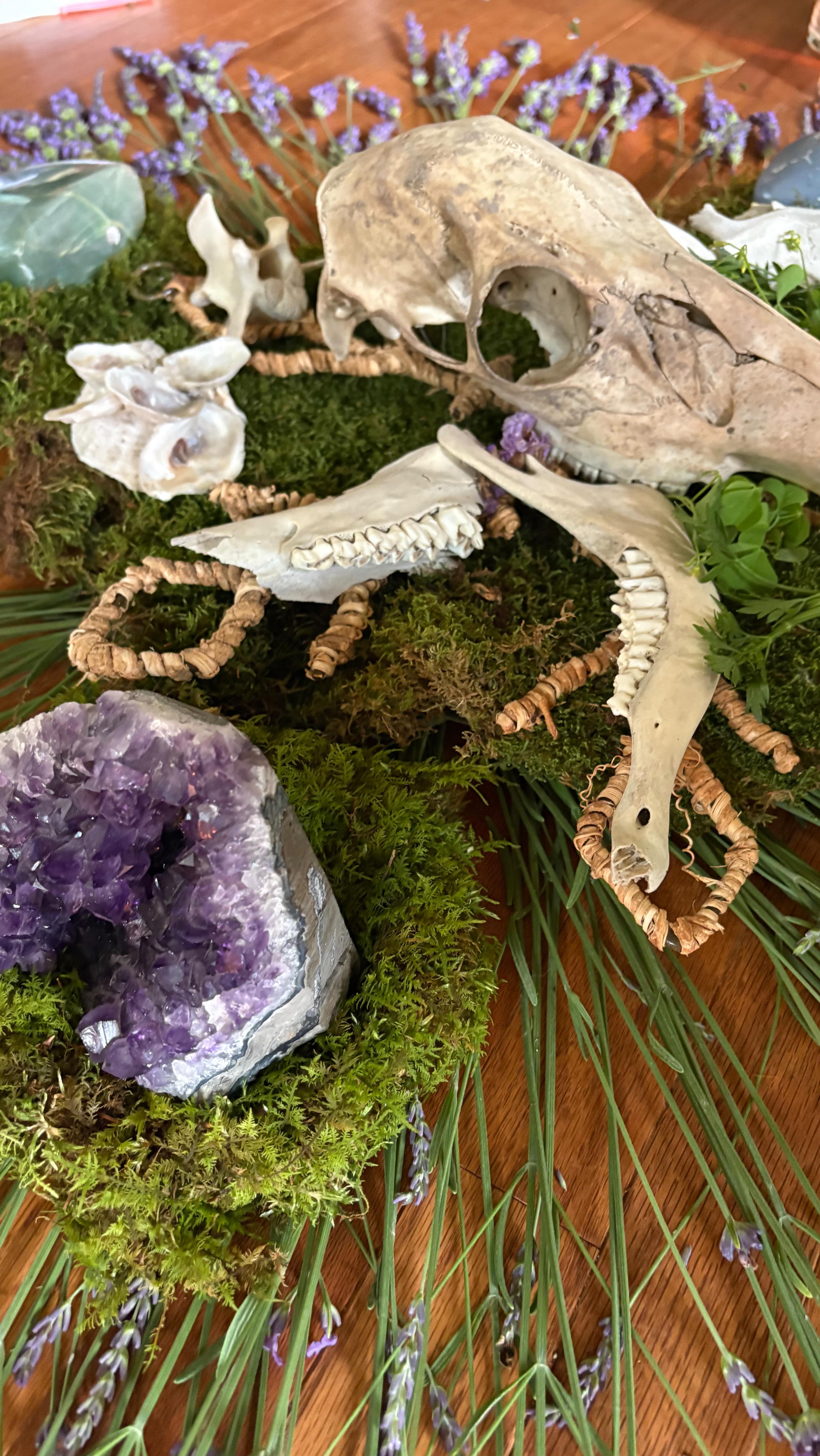 Last Full Moon - Wombyn Circle was as magical as ever! ๐
Special thank you to @highlandspringsfloral for having us in her magical space again!
We have our New Moon Wombyn Circle this Tuesday and look out for details on our next Full Moon circle! โจ๐ฆ
โโโ
RSVP TO THE NEXT CIRCLE - LINKS IN BIO!