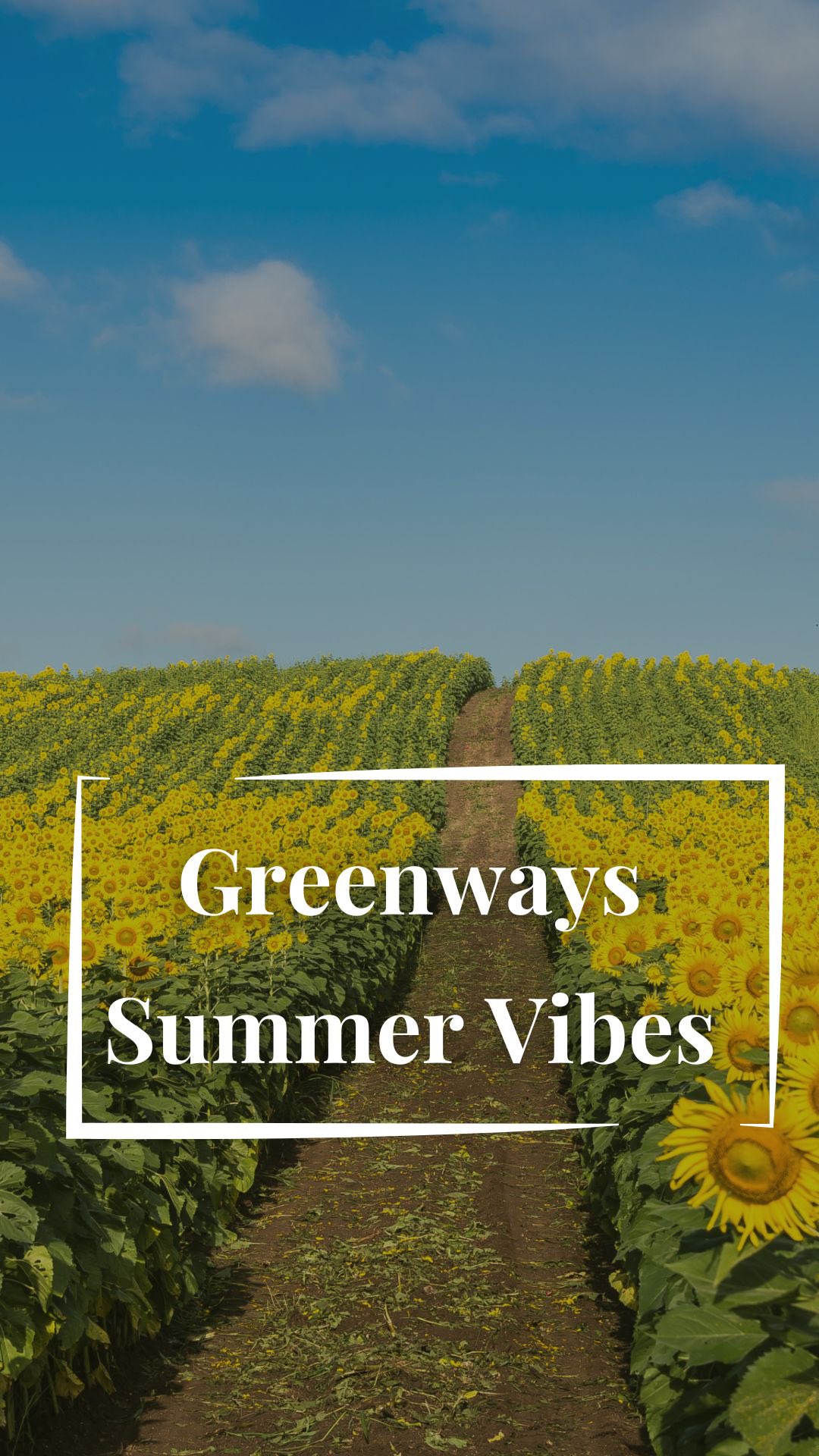 Summer Vibes ☀️🚴♀️
Savor the season with unforgettable bike & food tours across Italy’s most scenic landscapes.
Vineyards, medieval towns, and gourmet stops—this is how we ride.
Explore. Taste. Live !
#GreenwaysItaly #SummerVibes #BikeAndWine #FoodLoversTravel #CyclingAdventures #TasteItaly #ExploreUmbria #SlowTravel #GourmetExperience #ItalianSummer #LuxuryTravelItaly #EbikeTours #TravelWithStyle #BikeToursItaly #AuthenticItaly #CountrysideEscape #SustainableTravel #EpicureanJourney #WanderItaly #BoutiqueTravel