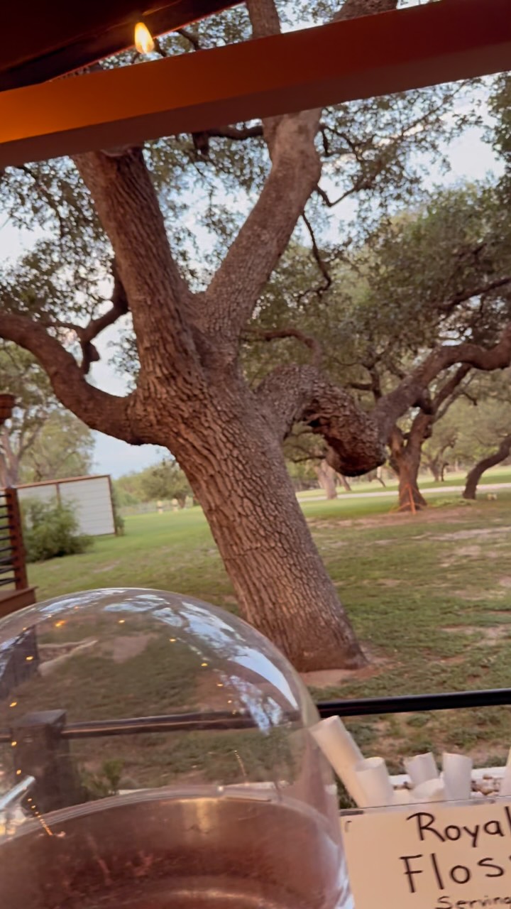 What a beautiful place to spin some delicious cotton candy!
#royalflosscottoncandy #premiumgourmetcottoncandy #birthday #wedding #quince #cottoncandy ##glimmeringoaksvenue