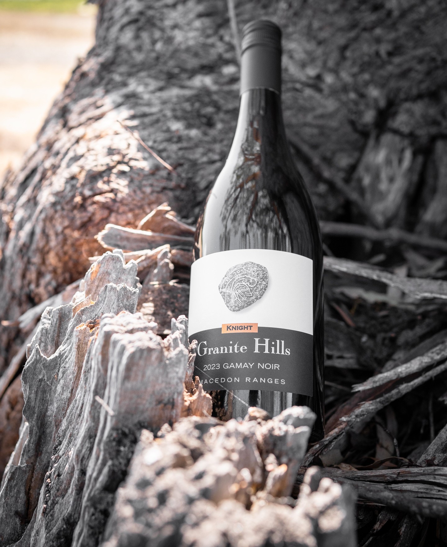 2023 Gamay Noir, a variety originally from the Beaujolais region in France and now thriving in the Macedon Ranges.
This vintage combines savoury red fruit with a hint of pepper, rounded off with soft tannins and a long, smooth finish. It’s a beautiful expression of the region's potential, offering a unique balance of flavours. Whether you’re a Gamay enthusiast or new to this varietal, this release is one you won’t want to miss.
.
.
.
.
.
.
#macedonrangeswine #visitmacedonranges #macedonrangesnaturallycool #visitvictoria #daylesfordmacedonrangestourism #daylesfordmacedonranges #daylesfordmacedonlife #lancefield #cobaw #explorevictoria #countryvictoria #macedonranges #granitehills #granitehillswinery #victorianwine #wineaustralia #macedonrangeswinery #gamay #gamaynoir