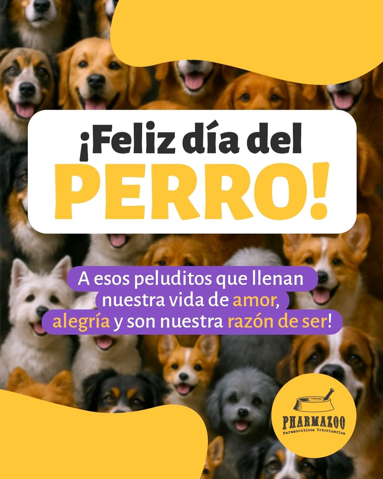 En Pharmazoo celebramos a quienes nos inspiran todos los días a cuidar y consentir con cariño.
#DíaDelPerro #Pharmazoo #PeluditosFelices #Dogs #Perros