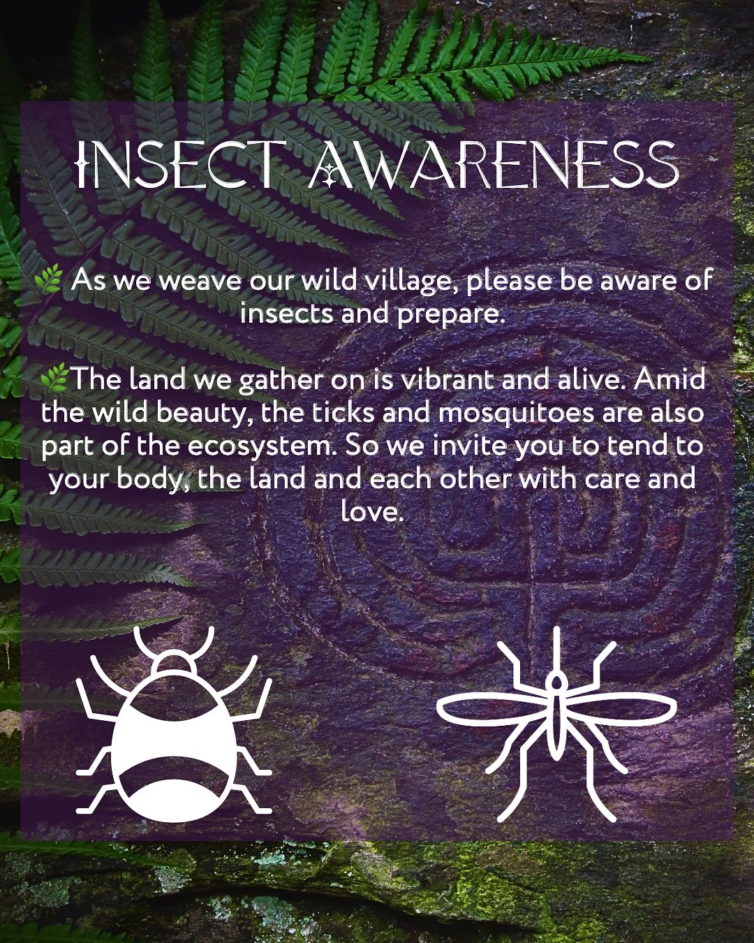 🌿 Insect Awareness 🌿
As we weave our wild village, please be aware of insects and prepare.
The land we gather on is vibrant and alive. Amid the wild beauty, the ticks and mosquitoes are also part of the ecosystem. So we invite you to tend to your body, the land and each other with care and love.
🌀 What You Can Do
Use insect repellents to protect yourself — we’ll have natural, eco-conscious options available in our Eco Shop.
Do a gentle tick check on yourself and your sisters each day.
🌿 For Our Little Ones
We’ll be offering free NatPat repellent stickers for babes and little ones — available at the Eco Shop. A sweet and simple way to help protect our youngest.
🌸 Let’s keep our village safe, vibrant, and in harmony with the land.
#medicinewoman #earthwisdom #ancestralways #honouringearth #mothernature #motherearth #eco #naturalproducts #festival #gathering #sisterhood #village