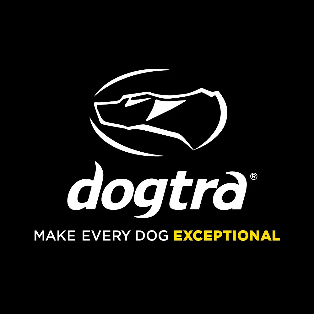 It’s official our first order is In we have made the switch! For our clients who have ecollar technologies we will no longer be placing orders for new systems however will still gladly help when it comes to identifying what component to order for replacements! If you would like to make the switch to dogtra I will gladly either help in person or make a video describing how to use your new collar! My availability for board and trains begins August 18th however space is extremely limited until September so make sure that you are reaching out immediately to book with me! Private lessons are also limited as well! As always feel free to message me with any questions you may have about our programs!
.
.
.
.
#sanantoniodogtraining #satxdogs #sanantonio #dogsofsanantonio #balancedtraining #ecollar #dogtra #boardandtrain