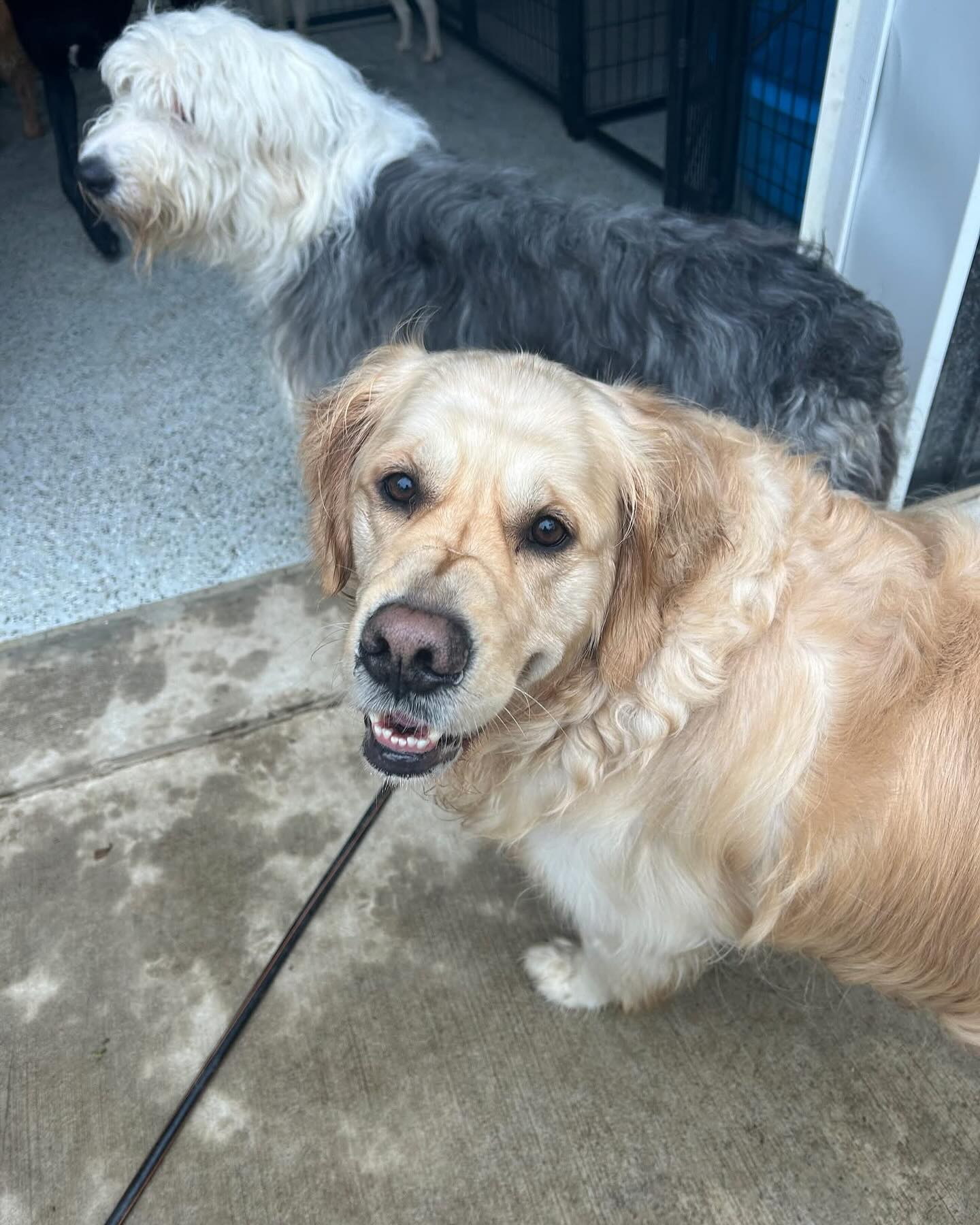 Happy Friday 🥰😌💕❤️🙏🏼🐶