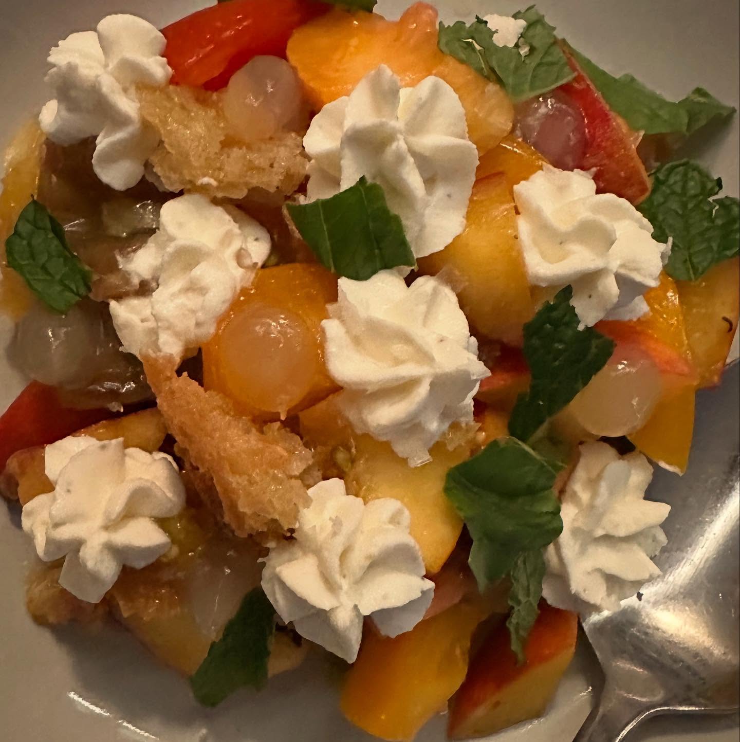 Get your butt over to @diomiopasta for their #panzanella salad with #palisade peaches - it’s summer on a plate. Link to my #denverlicious ode in bio!