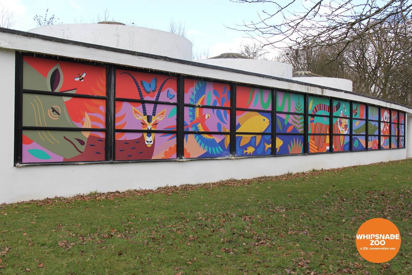 Boring walls? Not on our watch 😉
We printed and installed this vibrant vinyl mural at Whipsnade Zoo to transform the space into a fun, colorful celebration of wildlife! 🦓🐠
Obsessed much? We totally are! ✨
#WhipsnadeZoo #PopOfColour #AnimalArt #WildlifeWonderland #BringSpacesToLife #ZooArt #PrintAndInstall