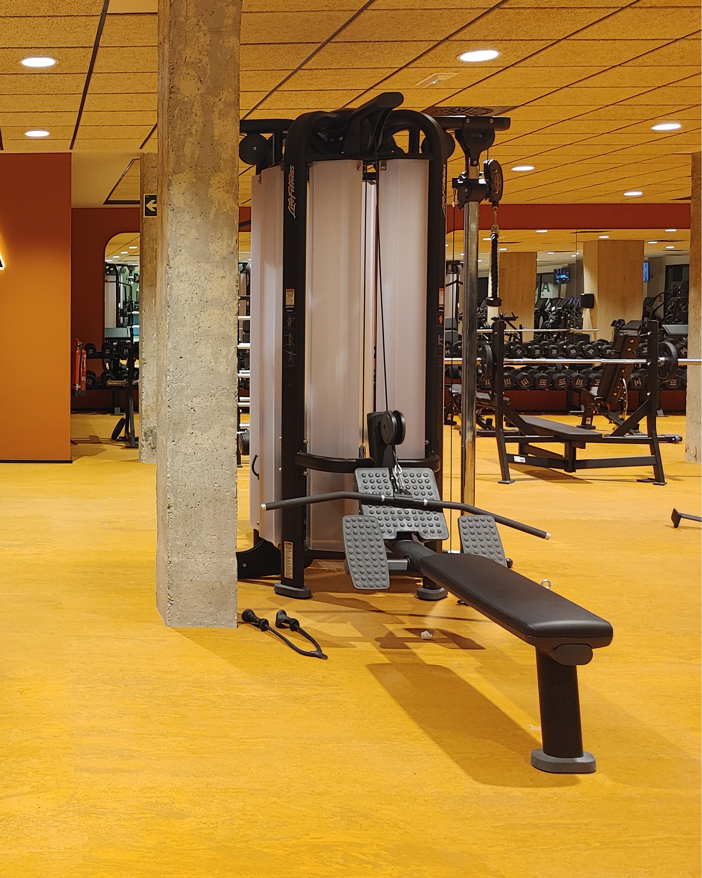 A Customized Project in the Heart of Levante 🇪🇸✨
We are excited to present a new installation in Valencia, where we worked closely with our client to develop a PaviFlex Premium flooring, custom-colored for the strength training, functional training, and boxing areas. 🥊💪
➕ @suma_alfafar_oficial
Every detail was carefully designed to optimize both the functionality and aesthetics of the space, providing a durable, comfortable, and visually striking floor for high-performance training.
Thank you for trusting us to create the perfect training environment!
#PaviFlex #GymFlooring #StrengthTraining #Boxing #FunctionalTraining #PaviFlexPremium #CustomDesign #QualityGym #PaviFlexLevante #FitnessDesign #Gyms