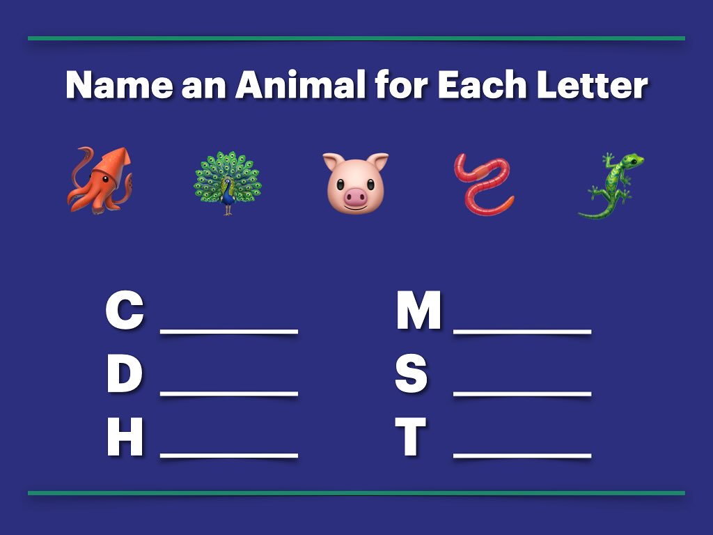 Daily warmup! Can you think of an animal that starts with each of these letters?
#english #tutor #ingles #teacher #teacherfollowteachers #ielts #toefl #beginner