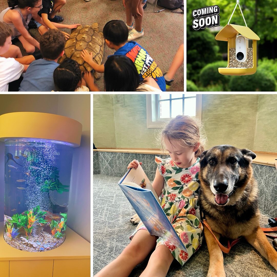 Puppies 🐶 and fishies 🐠 and a tortoise 🐢, oh my!
Whether you’ve read to a dog, visited the fish tank or pet Tripod during the Summer Reading Club Kickoff, you’ve participated in a program funded by donations to Friends of the Ridgewood Public Library. And the fun isn’t reserved just for the children’s department! Keep an eye out for more details coming soon on a new Bird Buddy for all of our birdwatching friends.
#FriendsoftheRidgewoodLibrary #RidgewoodPublicLibrary #readtoadog #zoophoria #birdbuddy