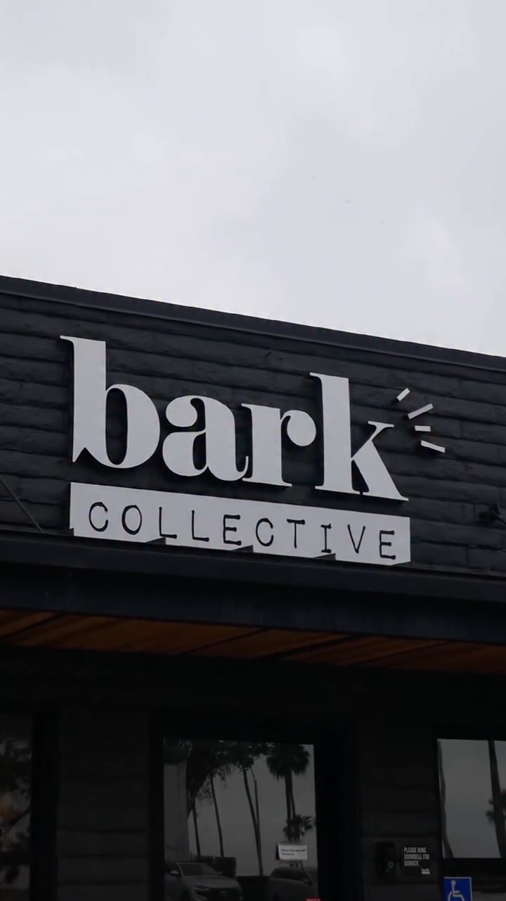 Welcome to Bark Collective ✨ Costa Mesa’s high-end doggie daycare for the pups who deserve the best.
From our beautiful lobby to our play yards out back, everything here is designed with one thing in mind—your dog’s happiness, safety, and balance. 🐾
Serving the beach cities of Orange County, we’re more than daycare—we’re a destination for dogs.
#BarkCollective #LuxuryDogDaycare #CostaMesaDogs #OrangeCountyDogs #BeachCityDogs #StructuredDaycare #DoggieDaycareOC #HappyDogsHappyLife #DogLoversOC #BestDogDaycare