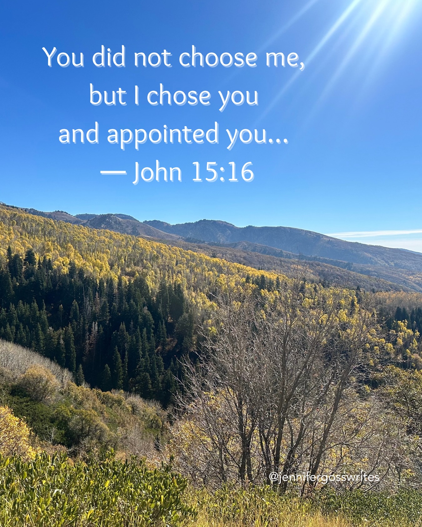 🌿 You Are Chosen & Equipped -
“You did not choose me, but I chose you and appointed you…” — John 15:16
You were born on purpose and for a purpose.
The things you’ve endured? Not in vain.
You’ve been set apart—not to blend in,
but to stand out as light in a dark world.
Keep shining. ✨
⏩ Share this with someone who needs the reminder today. 🤍
#ChosenAndEquipped #FaithOverFear #PurposeDriven #ChristianEncouragement #John1516 #LightInTheDarkness #JenniferGossWrites #DevotionalThoughts #FaithInspiration #YouAreSetApart