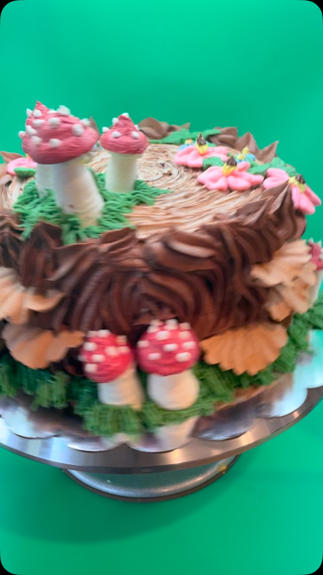#enchantedforest #cakedecorating
