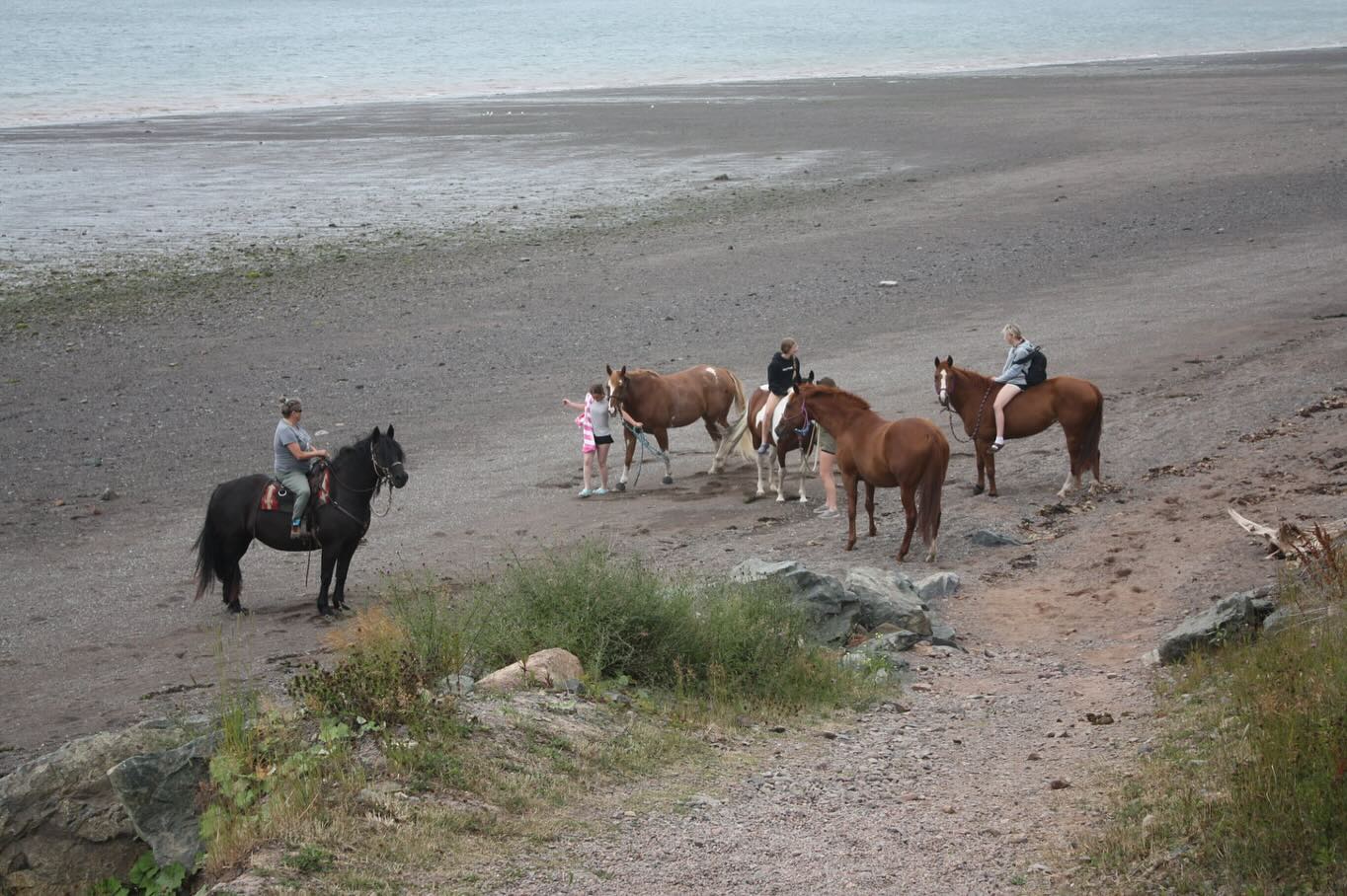 Beach days are always the barn family’s favourite day of the summer! 🌊 Although we cannot offer swimming with horses to the general public- our guides will never forget these days spent in our own Bay of Fundy! #tourismns #beach #parrsboro #bayoffundy